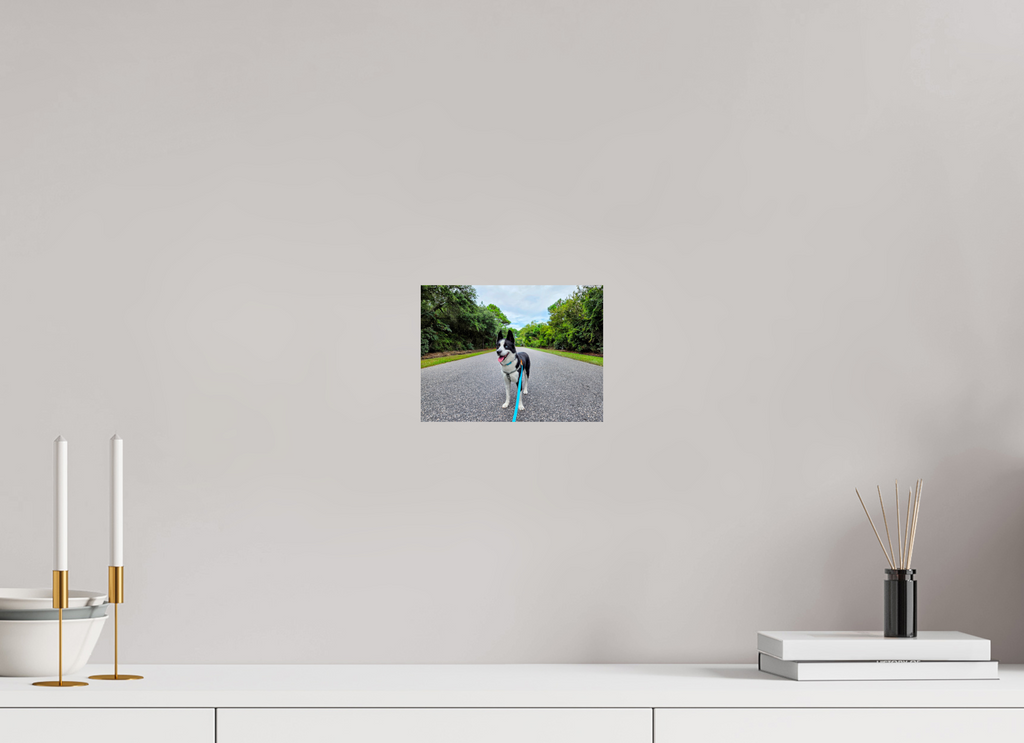 8 x 6″, Photo Print On Fuji Crystal DP II North Carolina Max