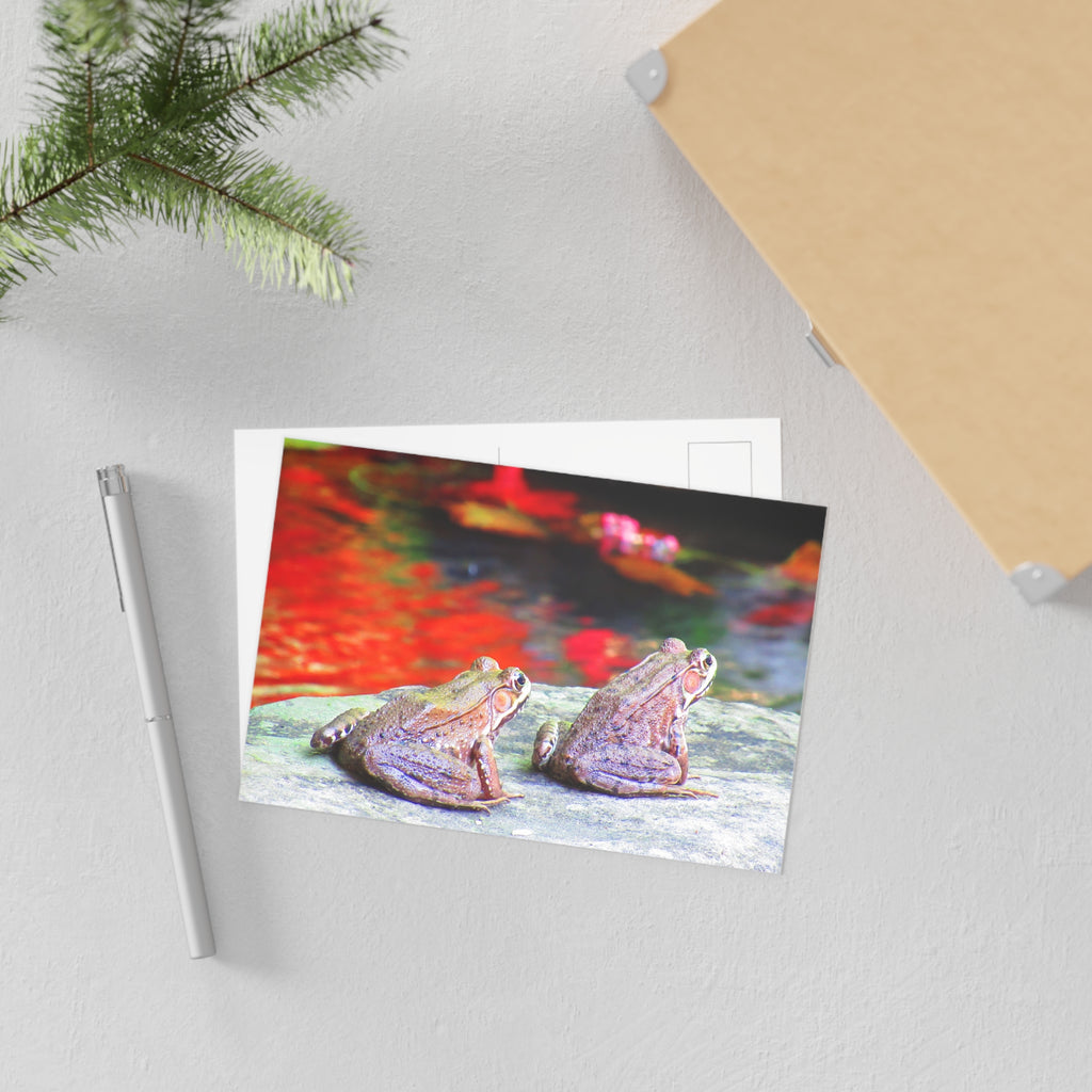 Frogs Postcard