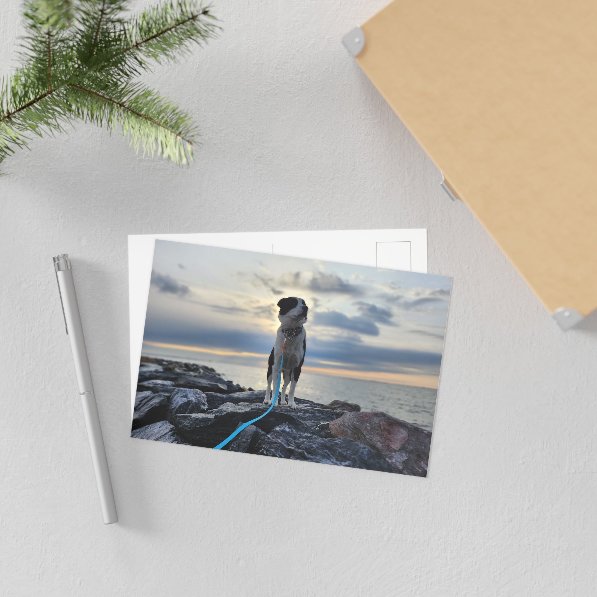 Epic Max Postcard
