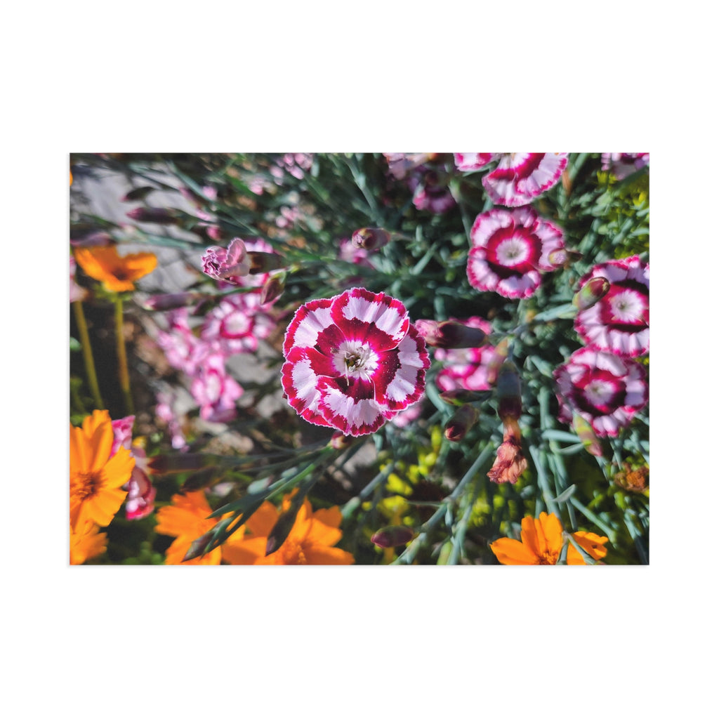 Flowers near the road