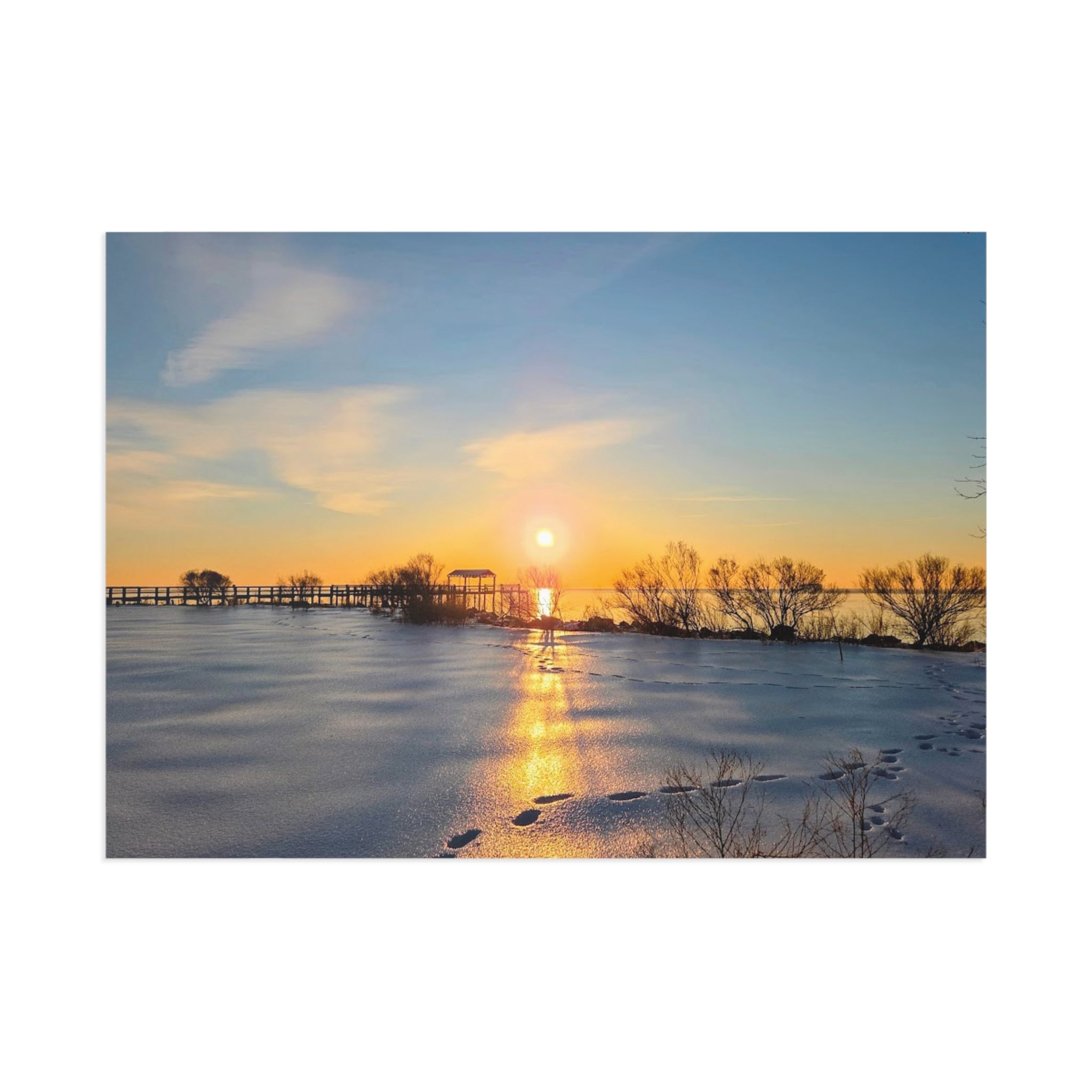 Frozen Sunrise Postcard