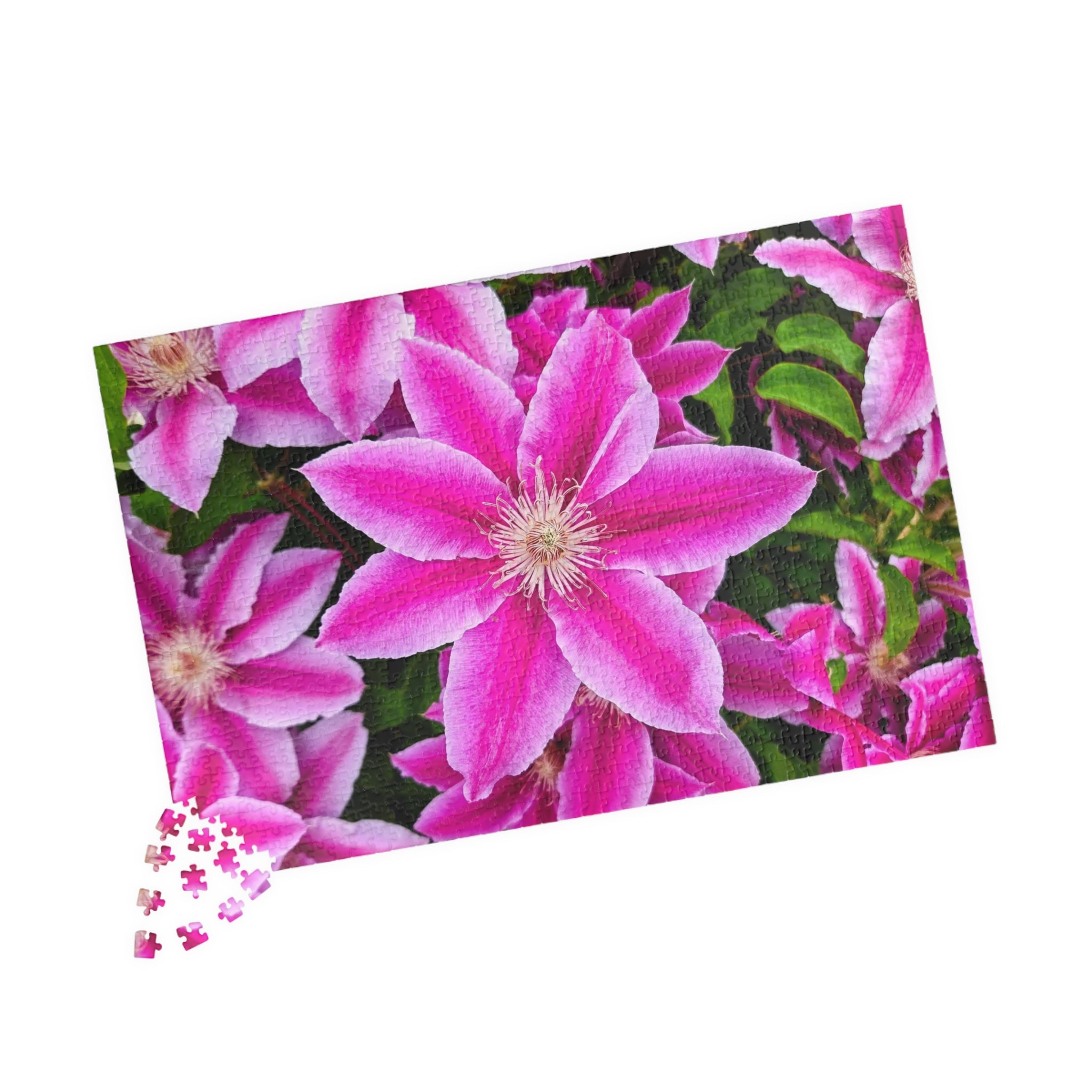Clematis Puzzle