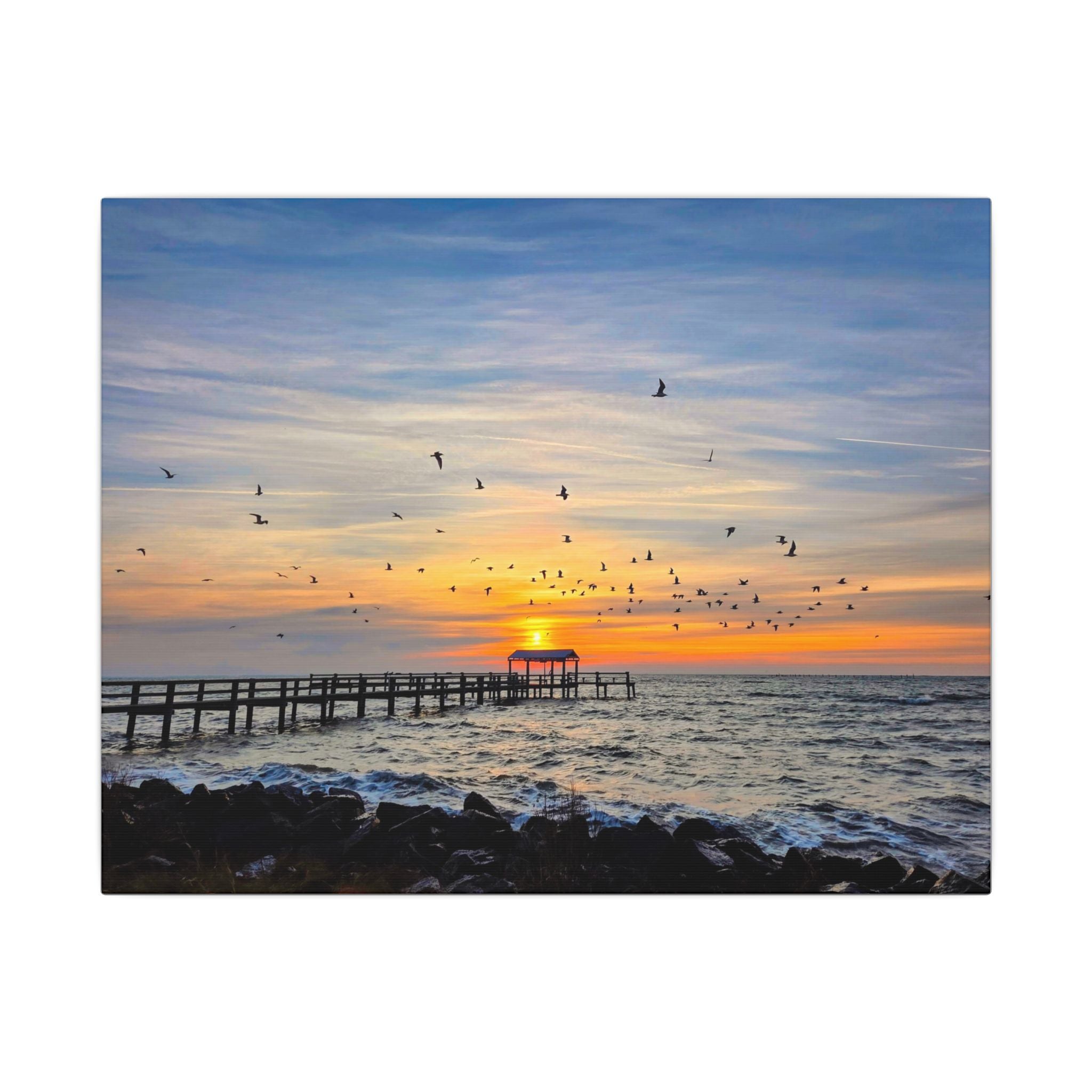 Fall Sunrise Migration