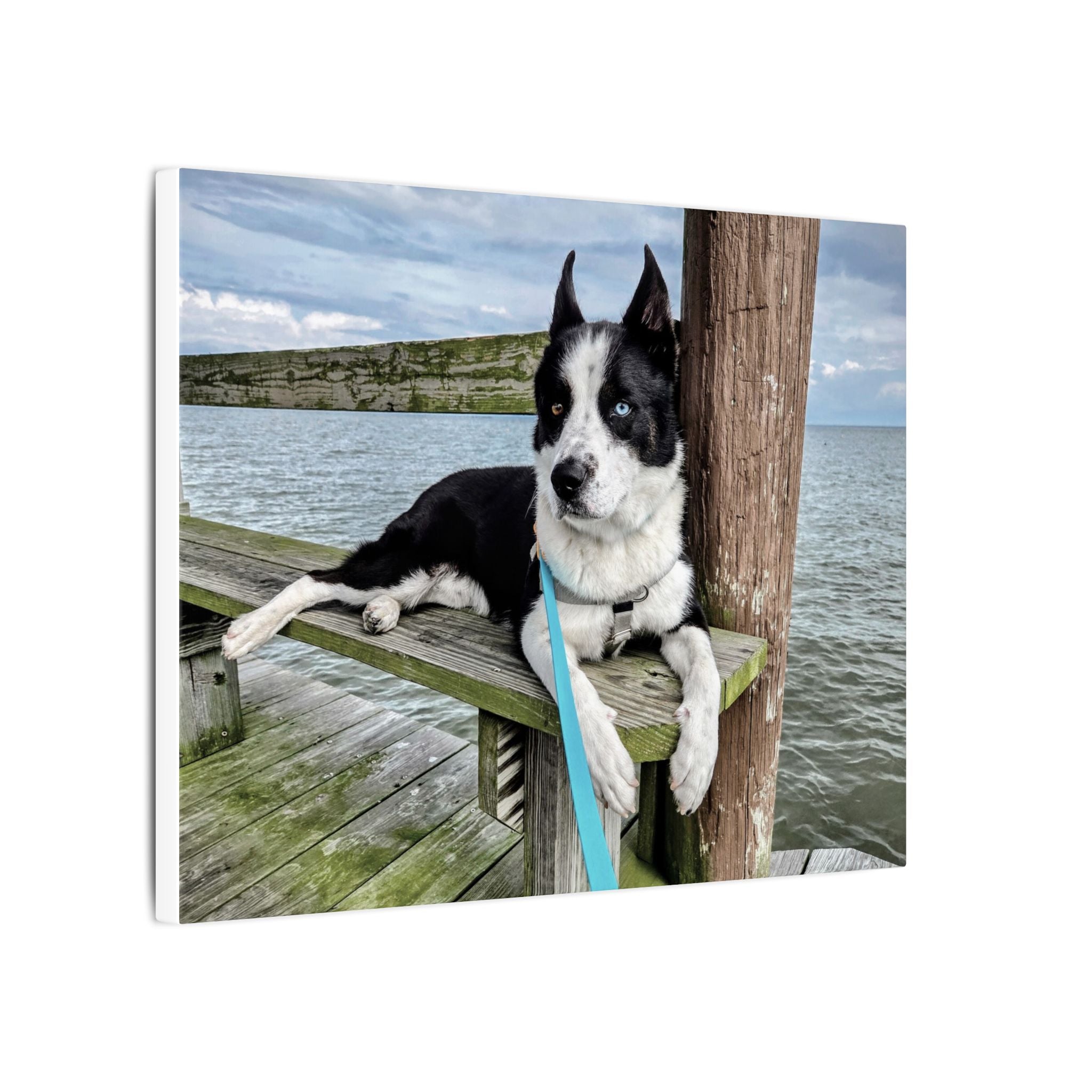 Max relaxing