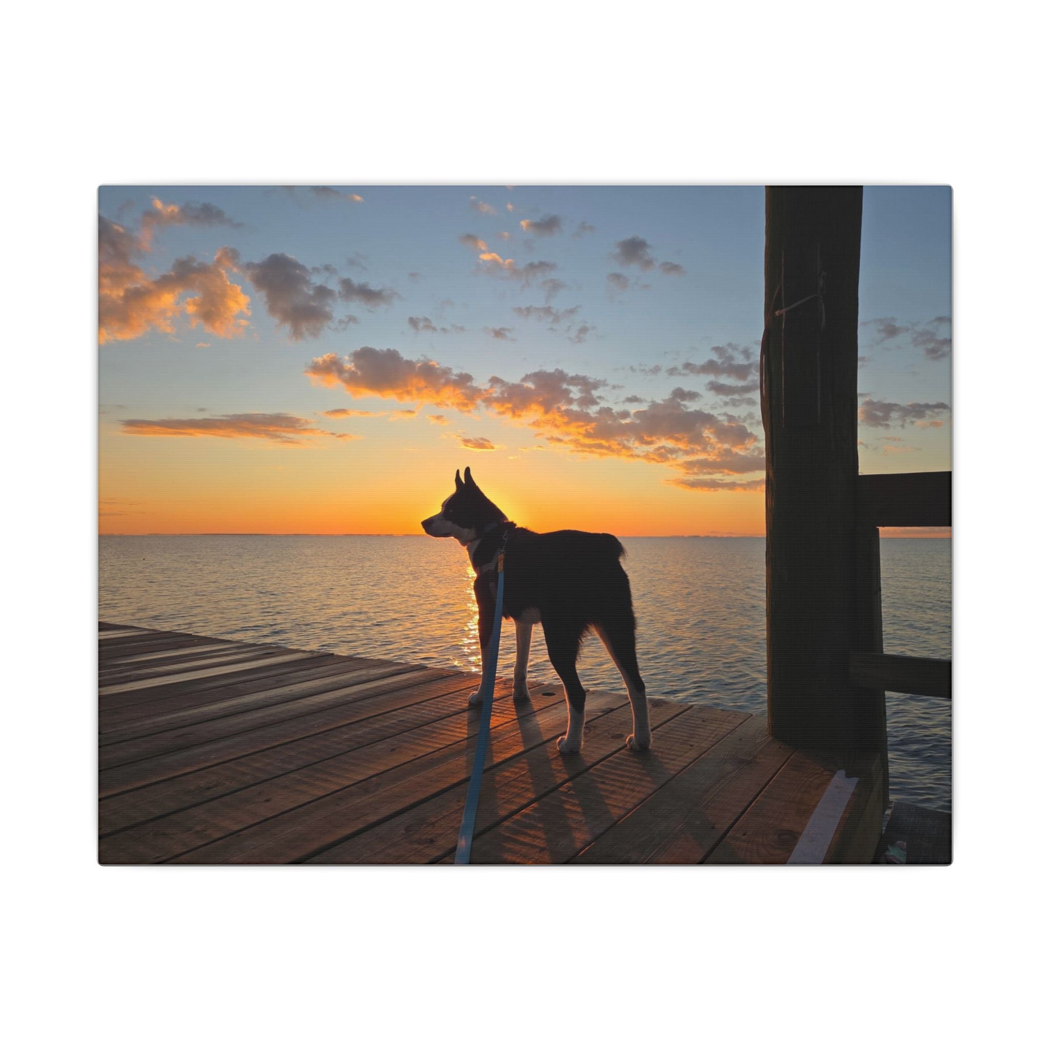 Bold Sunrise Max