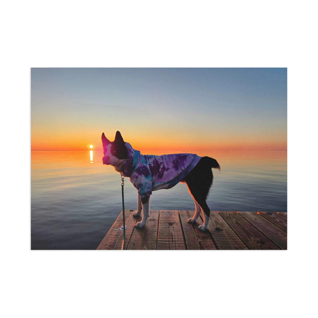 Tye dye Max Sunrise