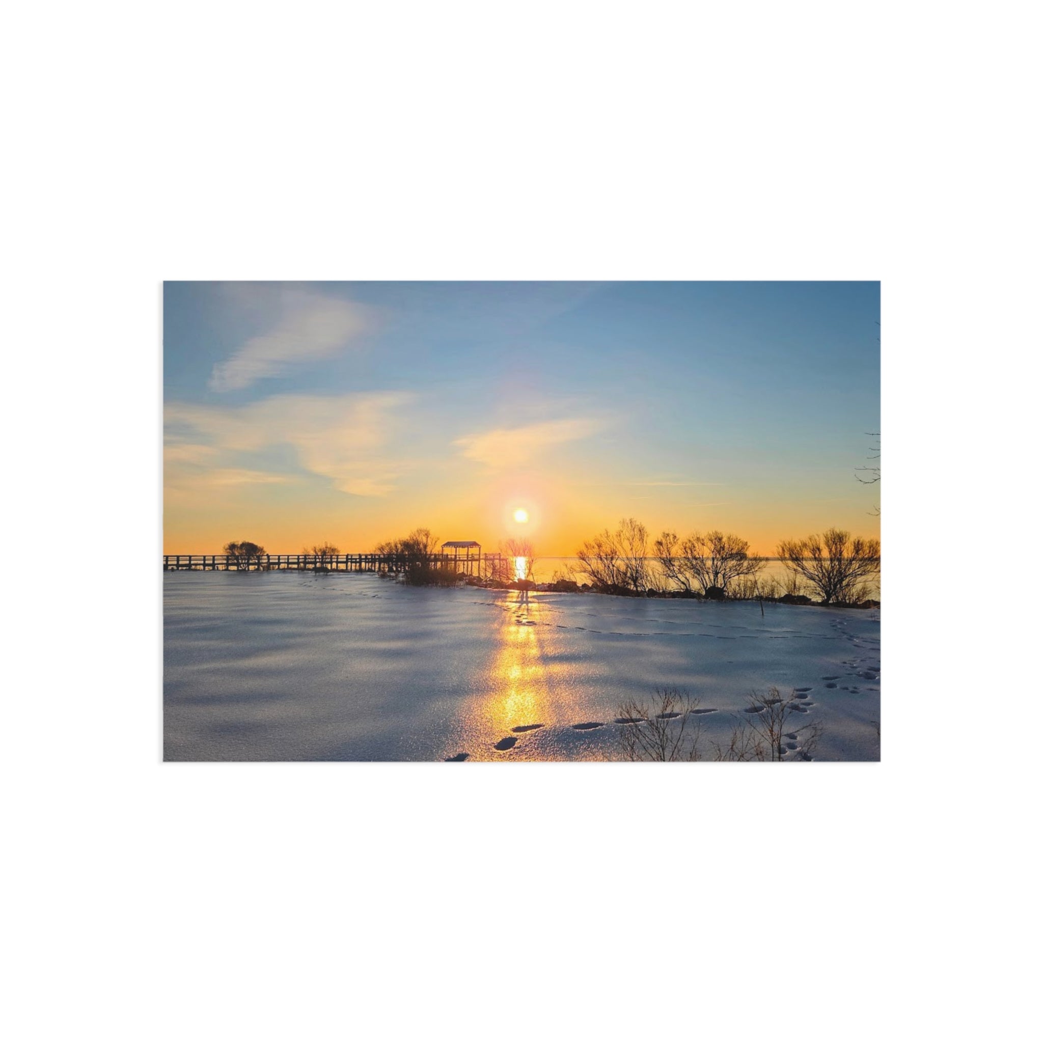 Frozen Sunrise Postcard