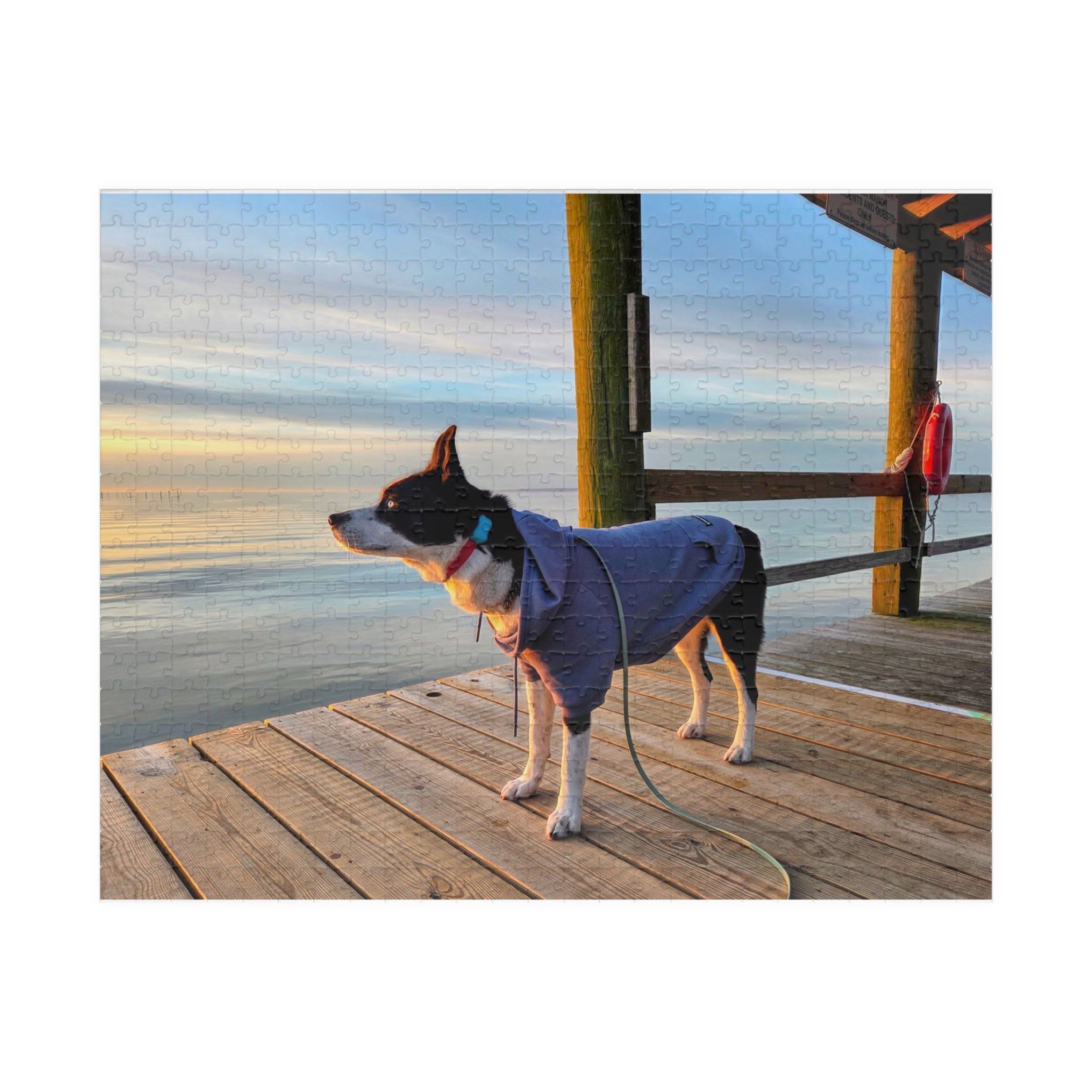 Hooded Max looks into the sunrise Puzzle