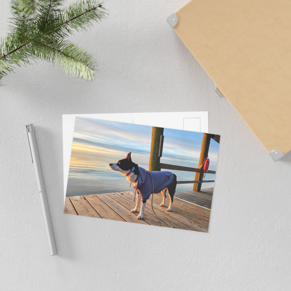 Max Sunrise Hoodie Postcard