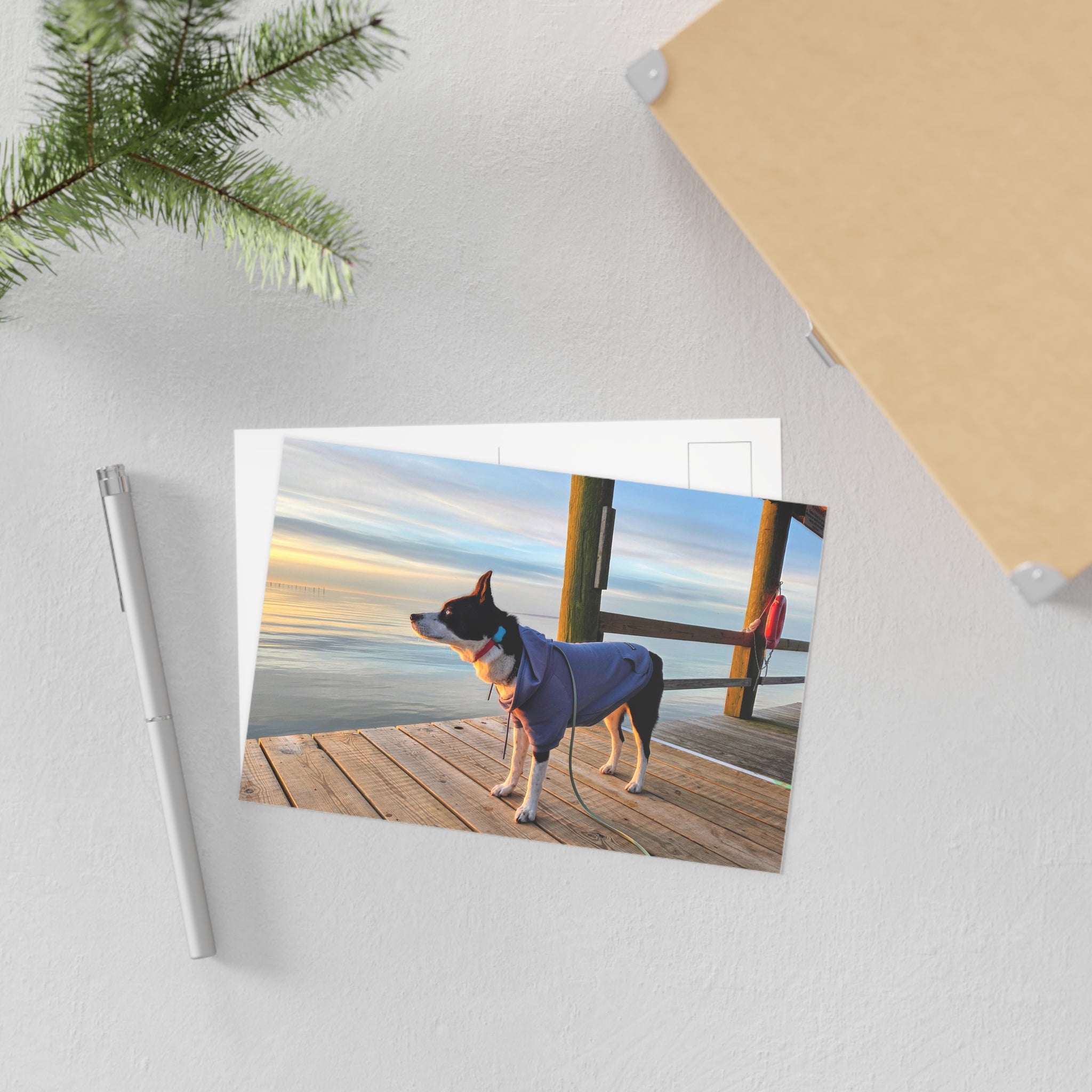 Max Sunrise Hoodie Postcard