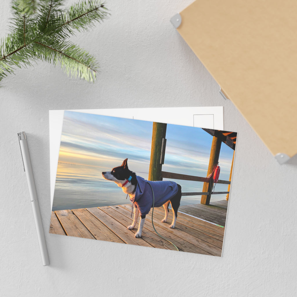 Max Sunrise Hoodie Postcard