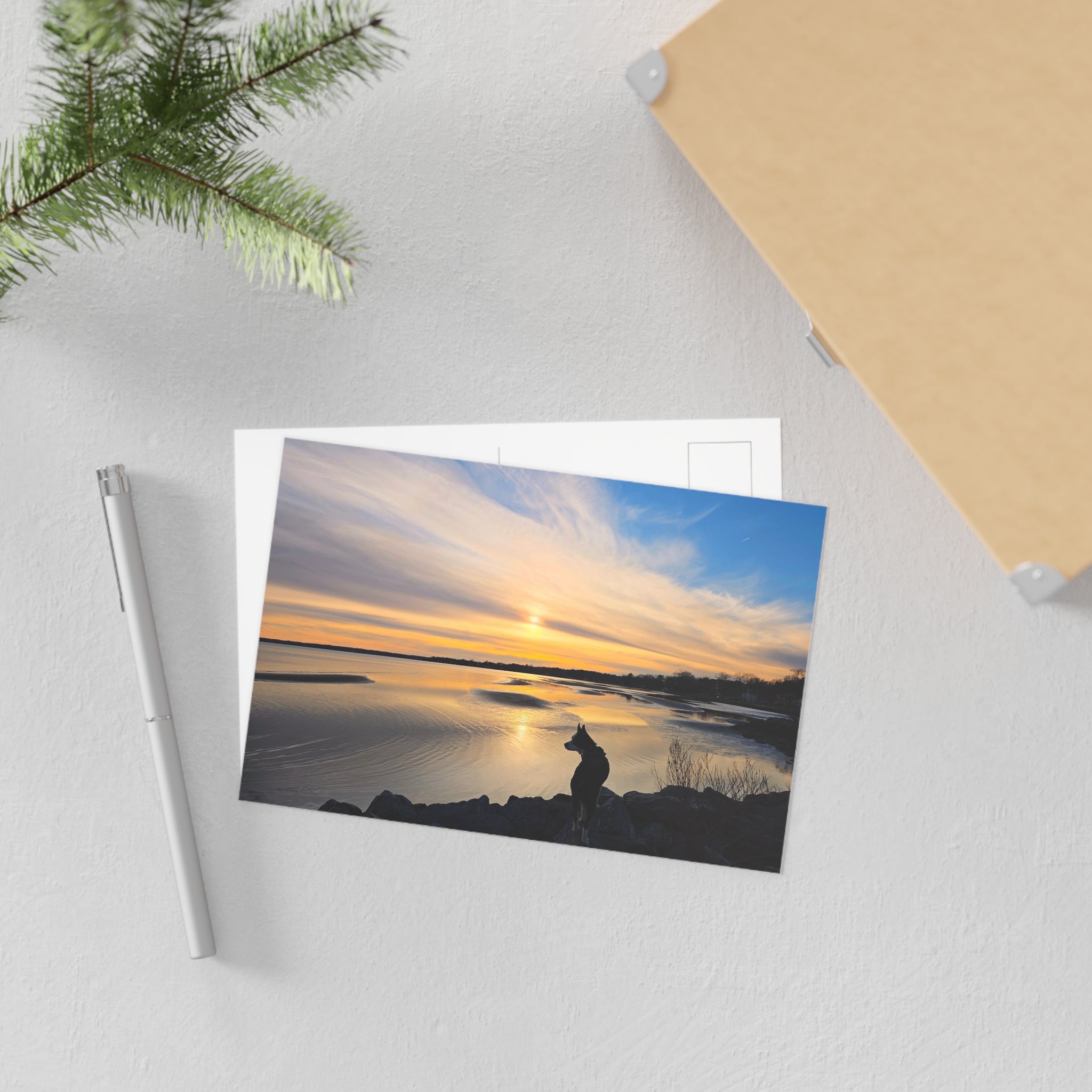 Fine Art Postcards Sunset Max 1