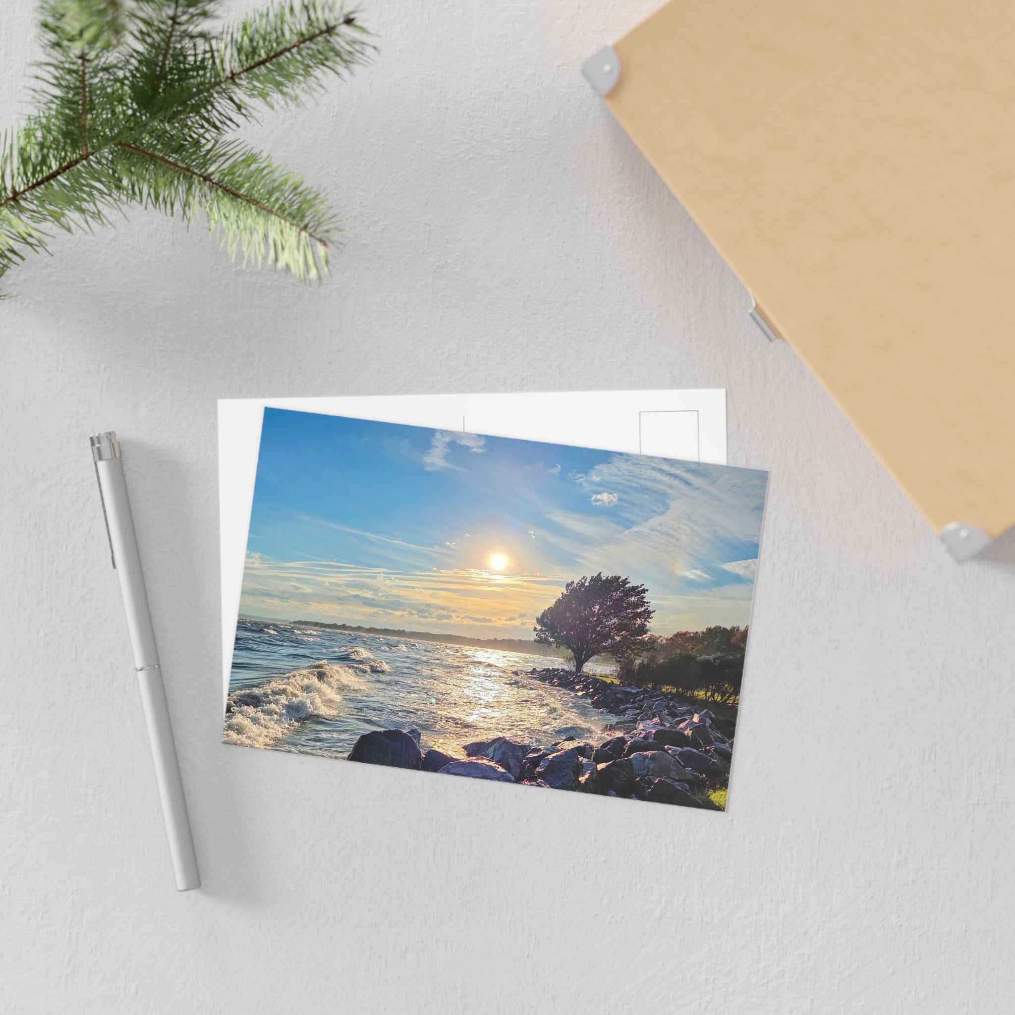 Windy Afternoon Postcard
