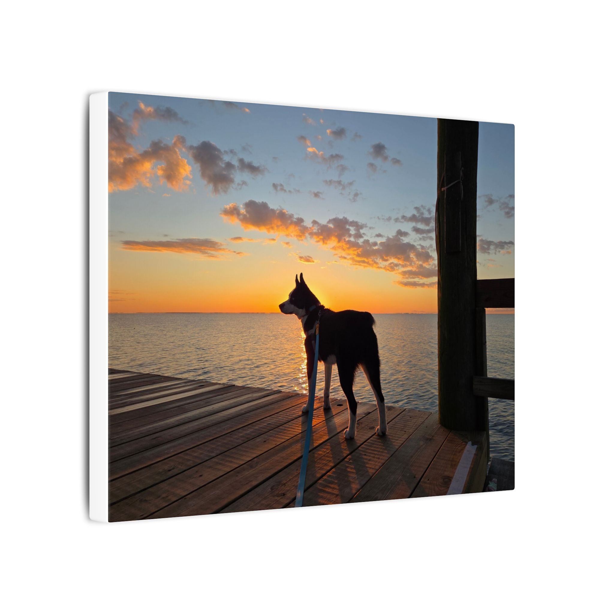 Bold Sunrise Max
