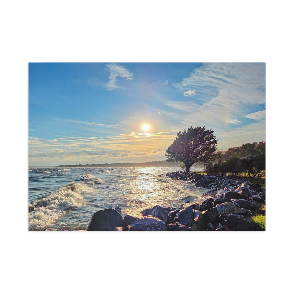 Windy Afternoon Postcard