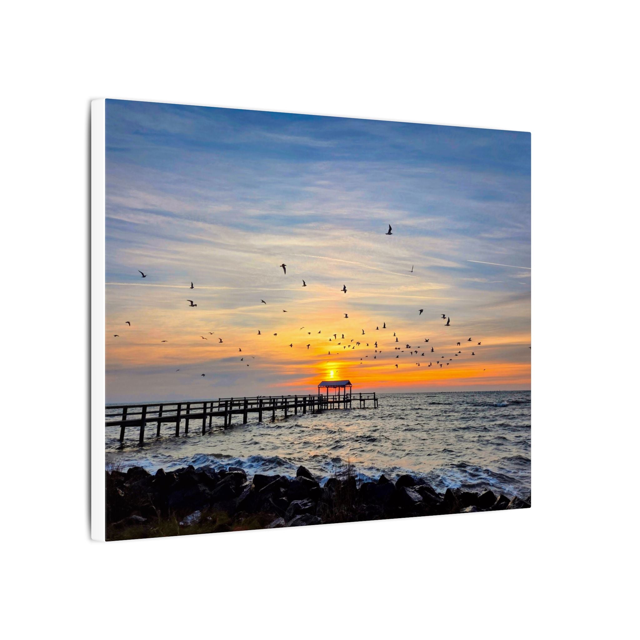 Fall Sunrise Migration