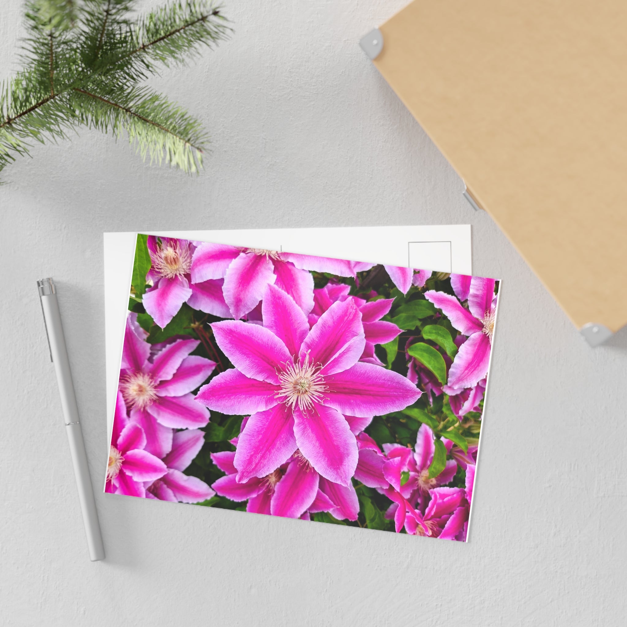 Clematis Postcard