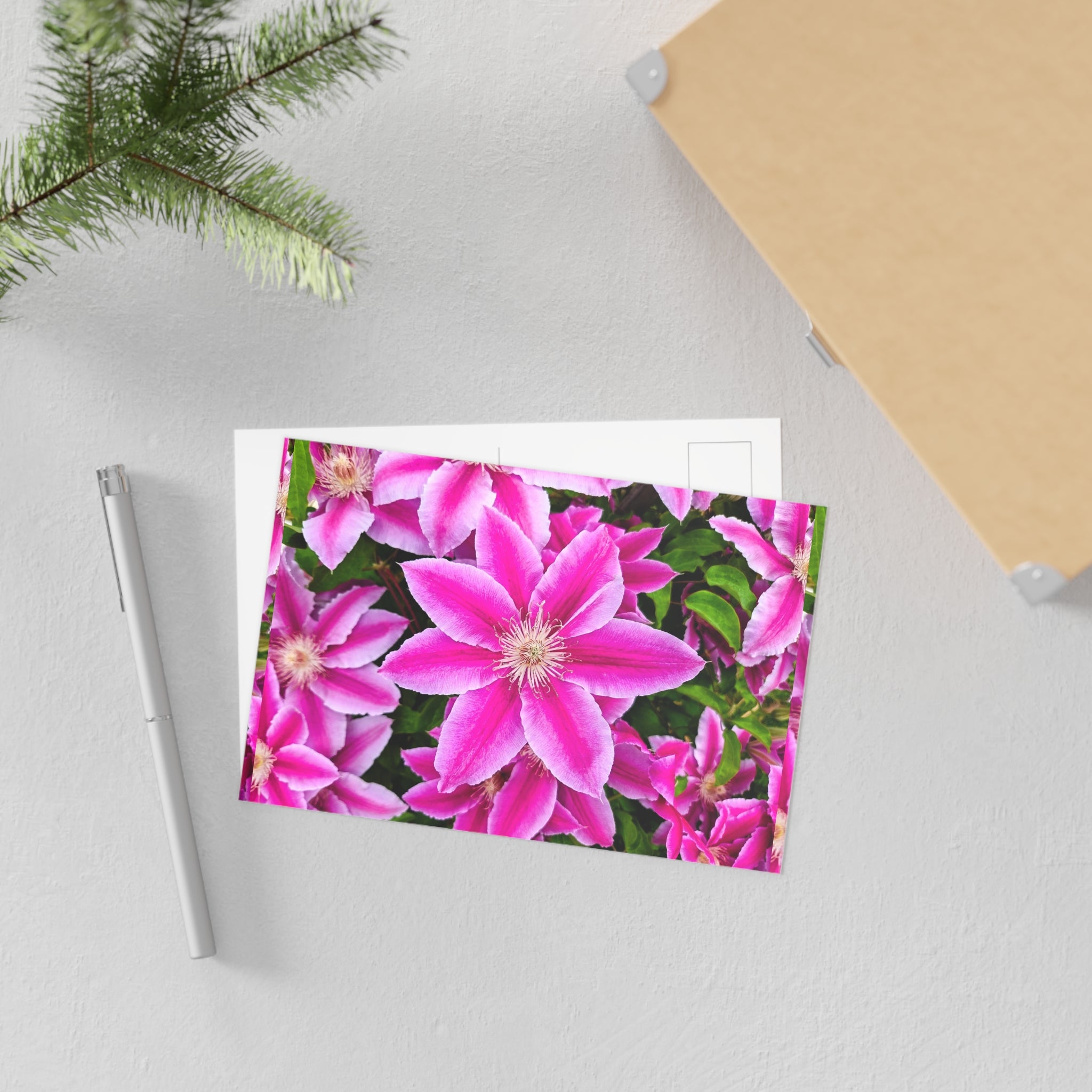 Clematis Postcard