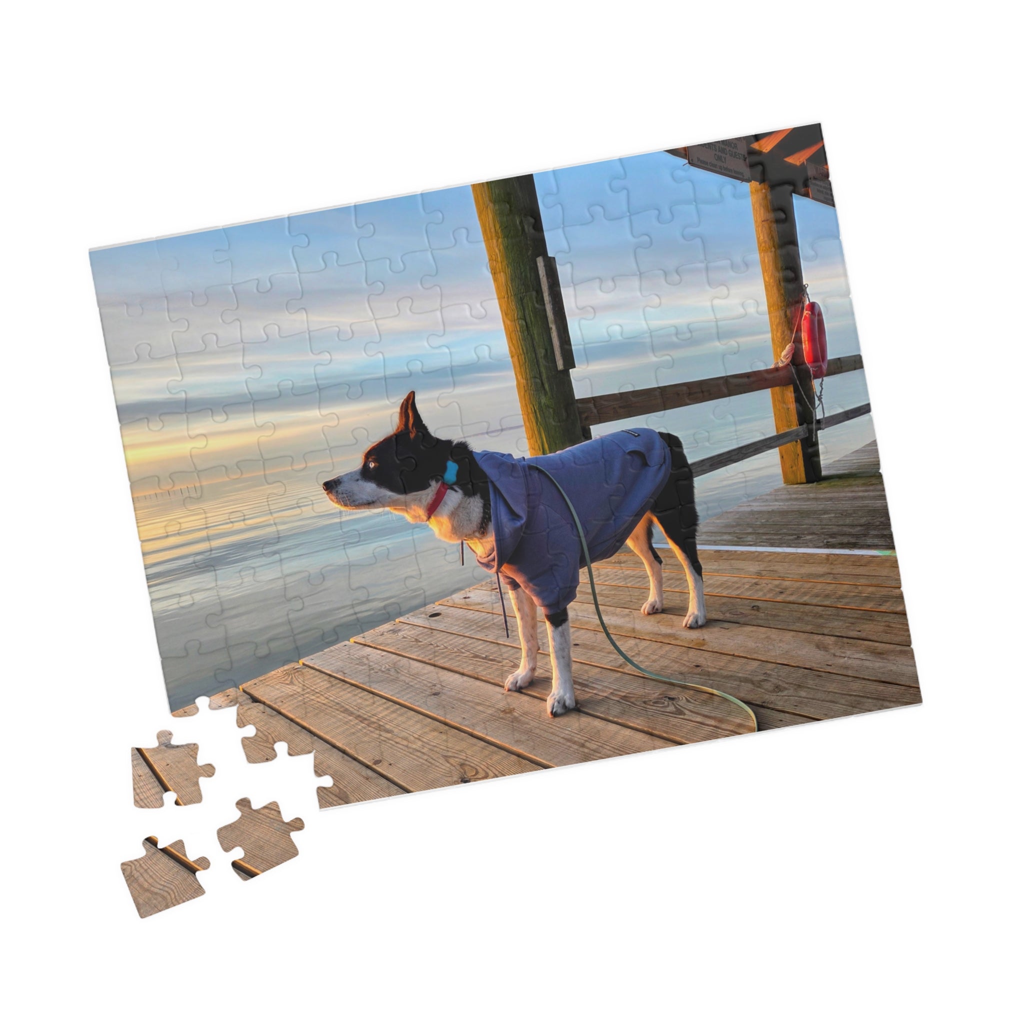 Hooded Max looks into the sunrise Puzzle