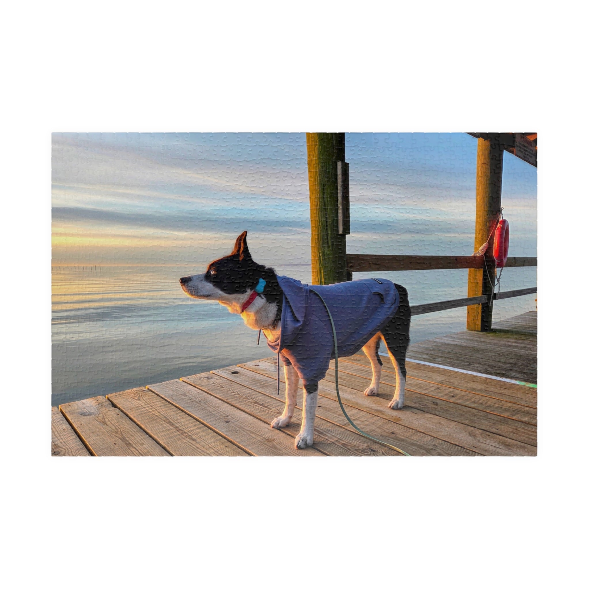 Hooded Max looks into the sunrise Puzzle