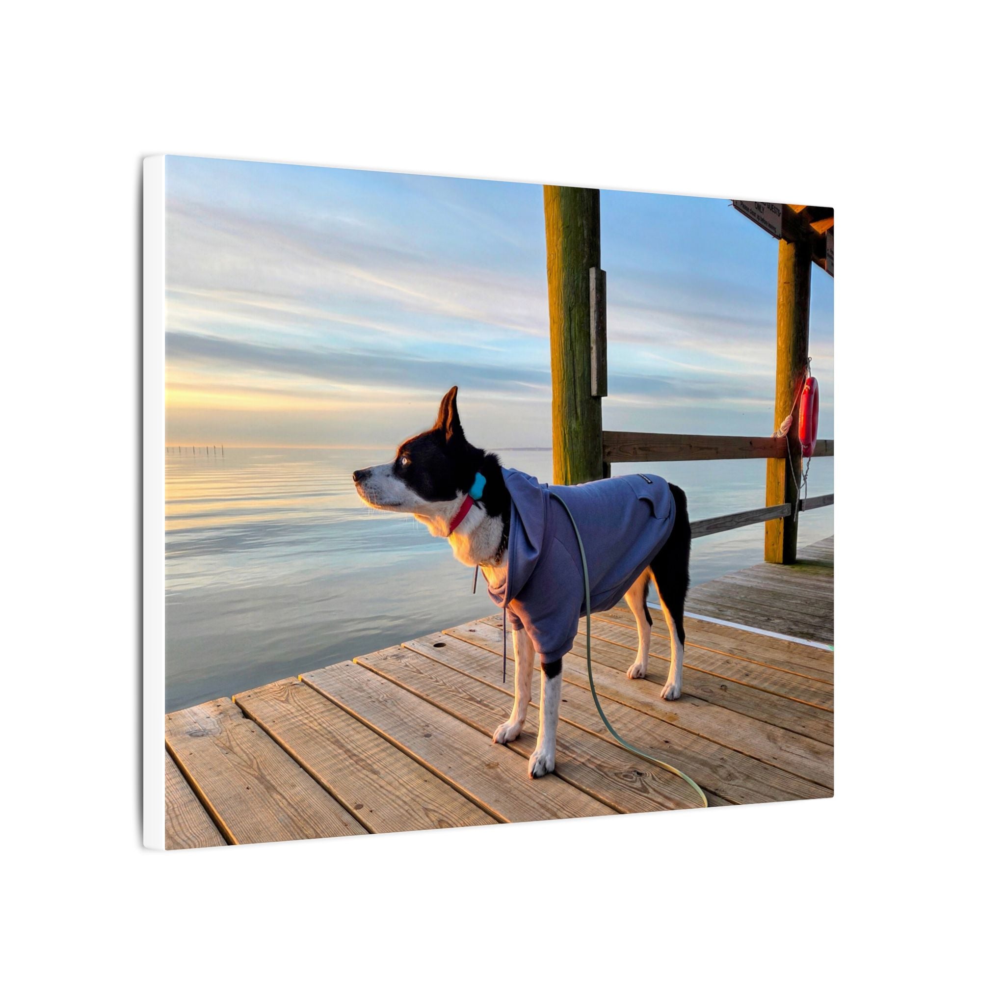 Max at sunrise in blue hoody