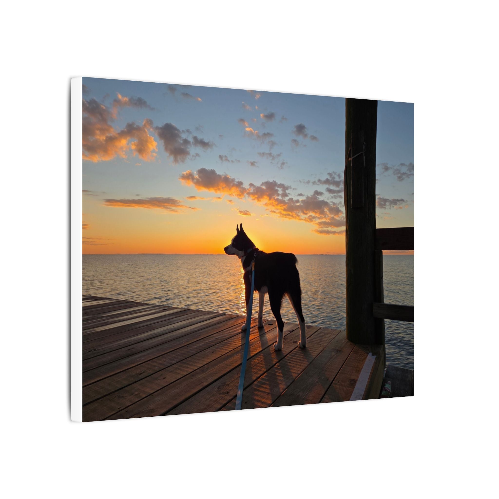 Bold Sunrise Max