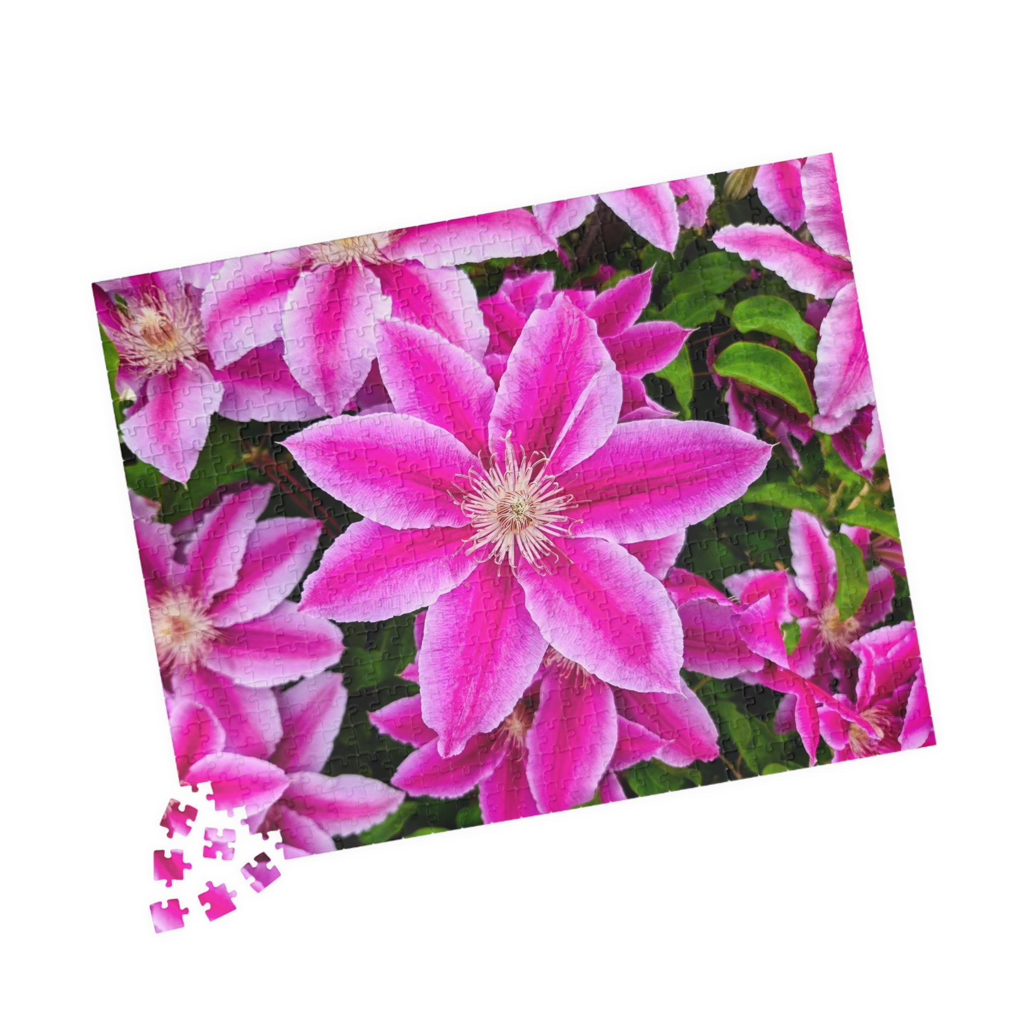 Clematis Puzzle