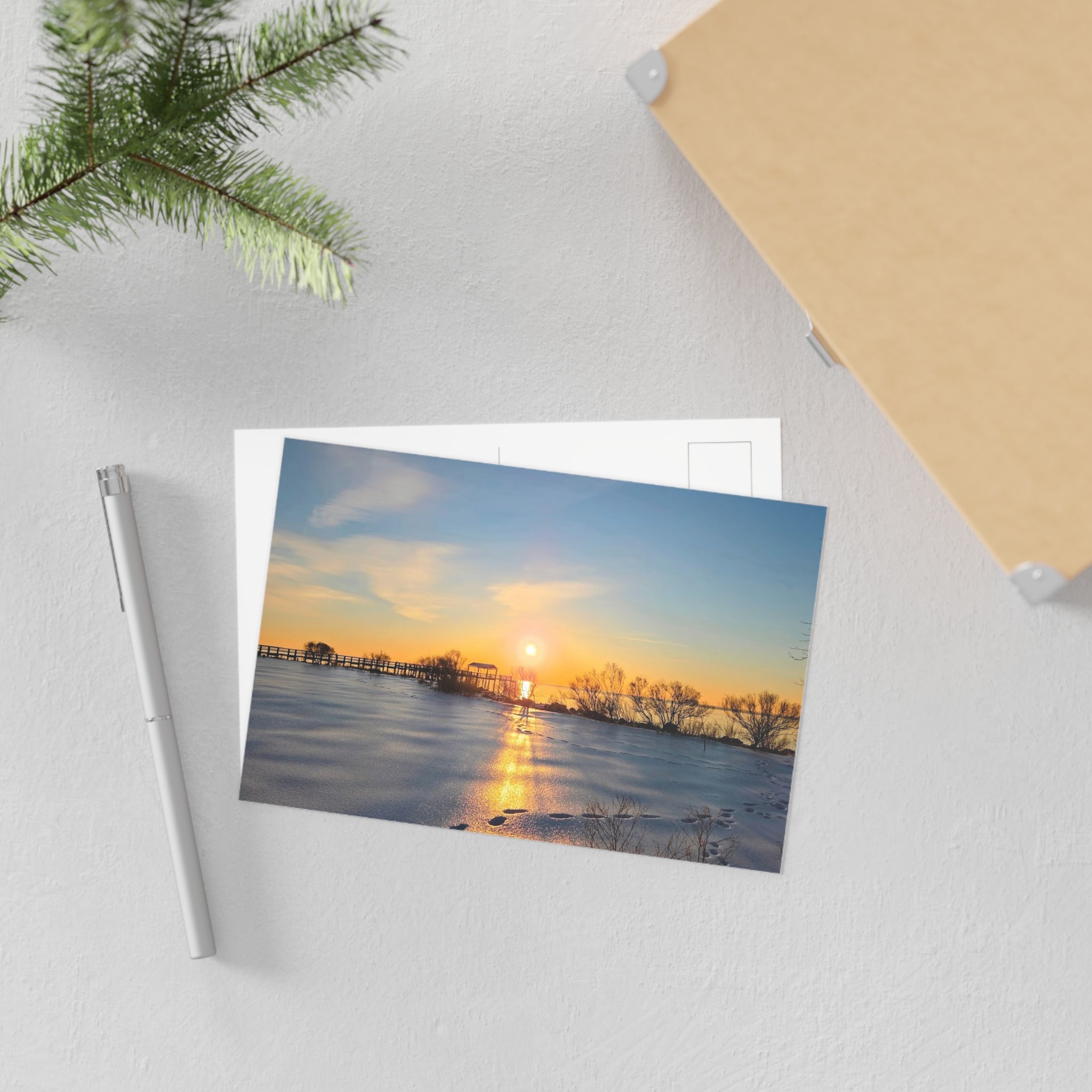 Frozen Sunrise Postcard