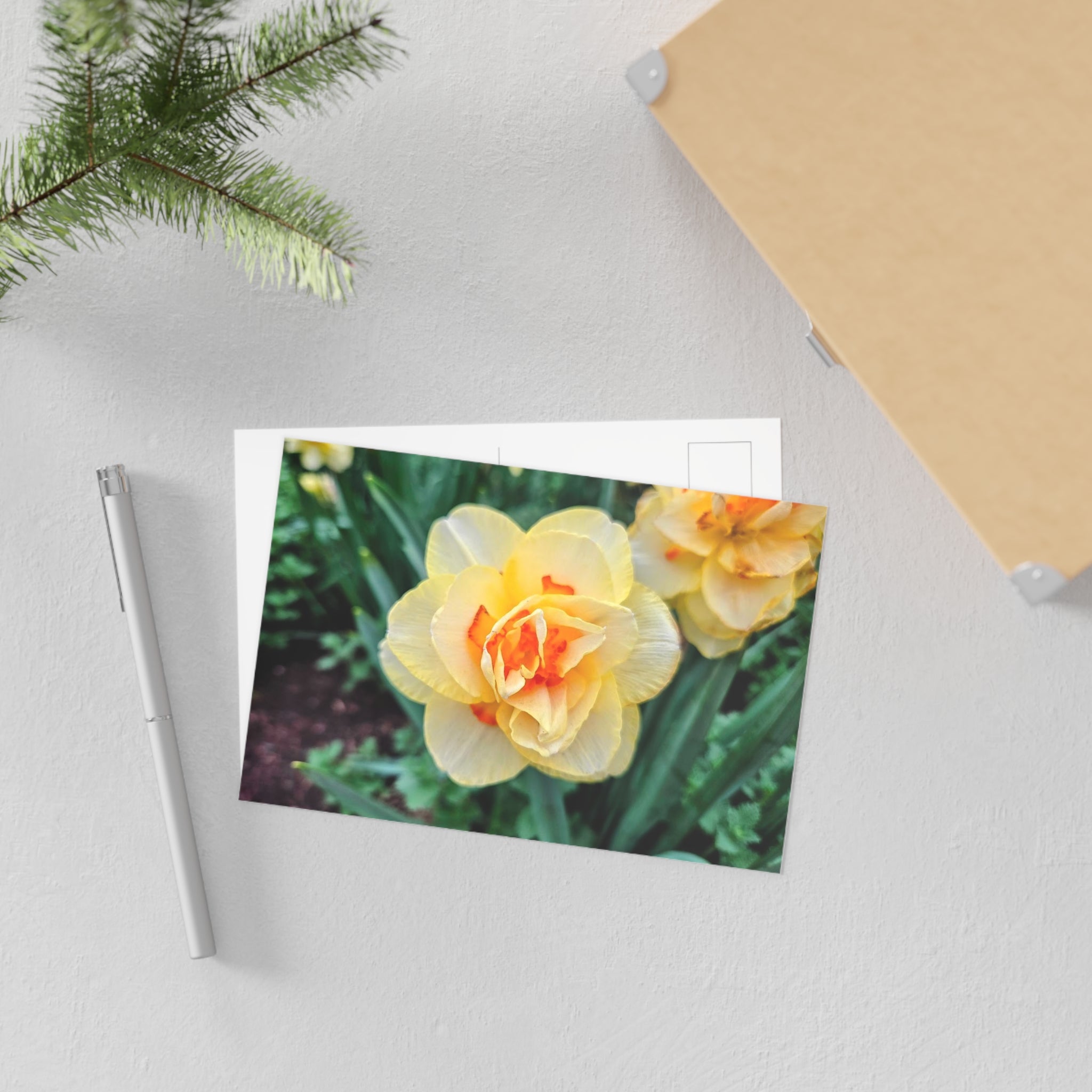 Spring flower 1