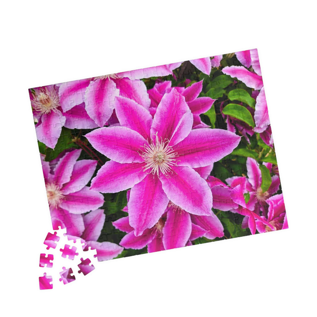 Clematis Puzzle