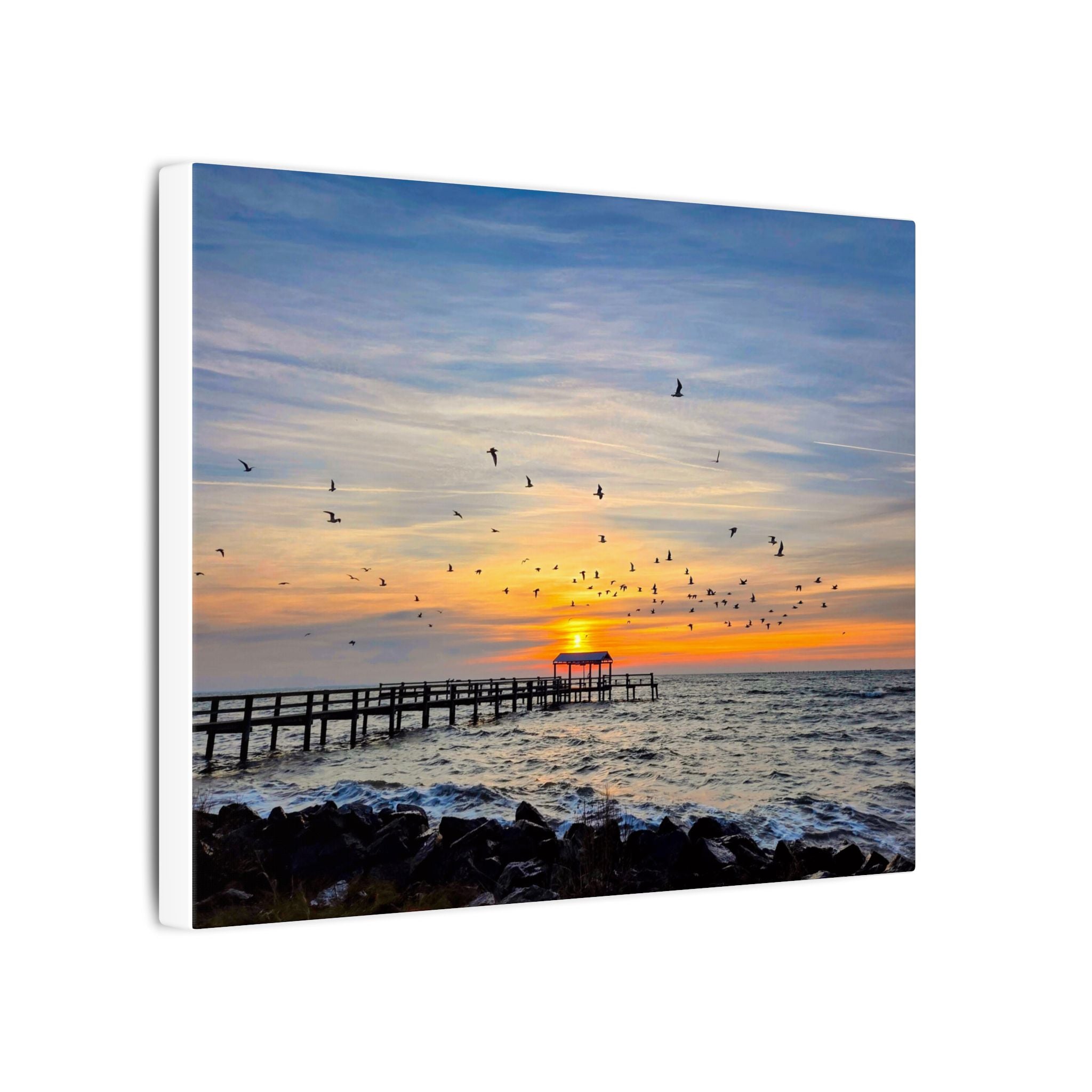 Fall Sunrise Migration