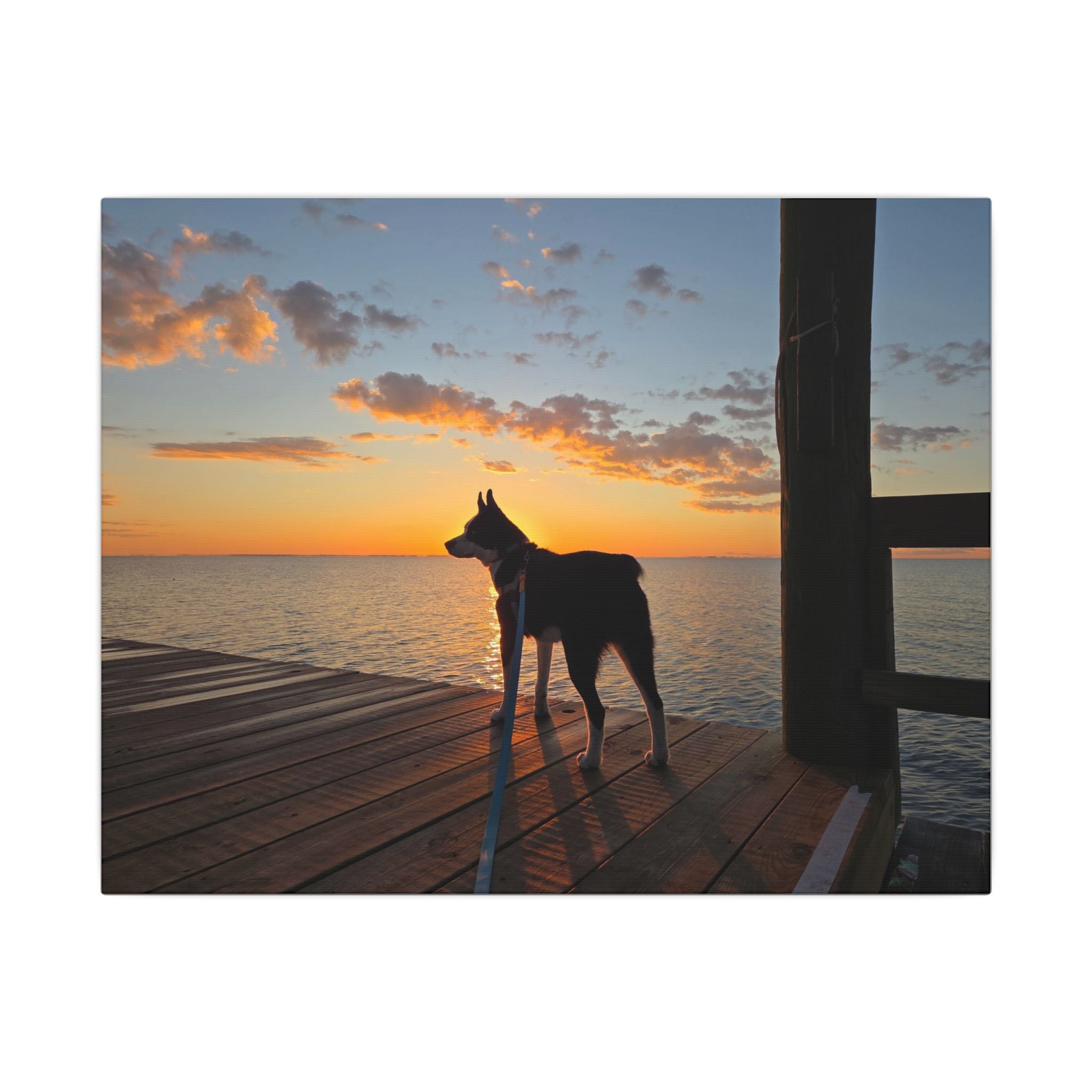 Bold Sunrise Max