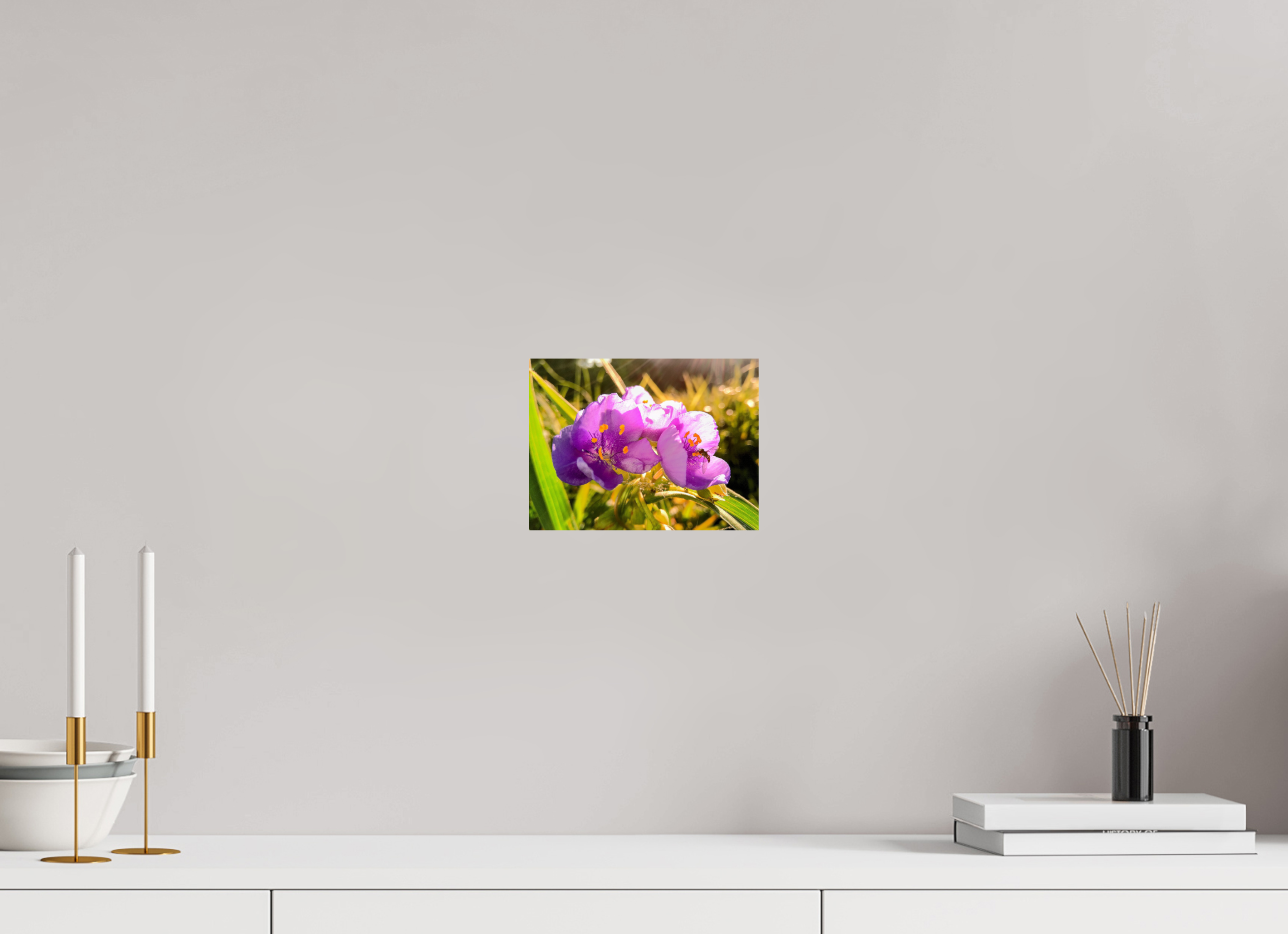 8 x 6″, Photo Print On Fuji Crystal DP II Spiderwort
