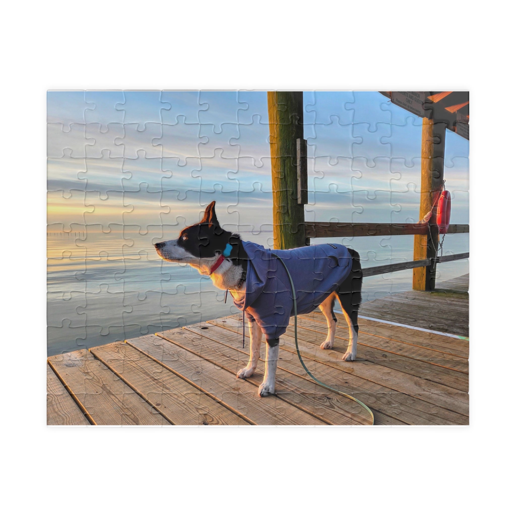 Hooded Max looks into the sunrise Puzzle