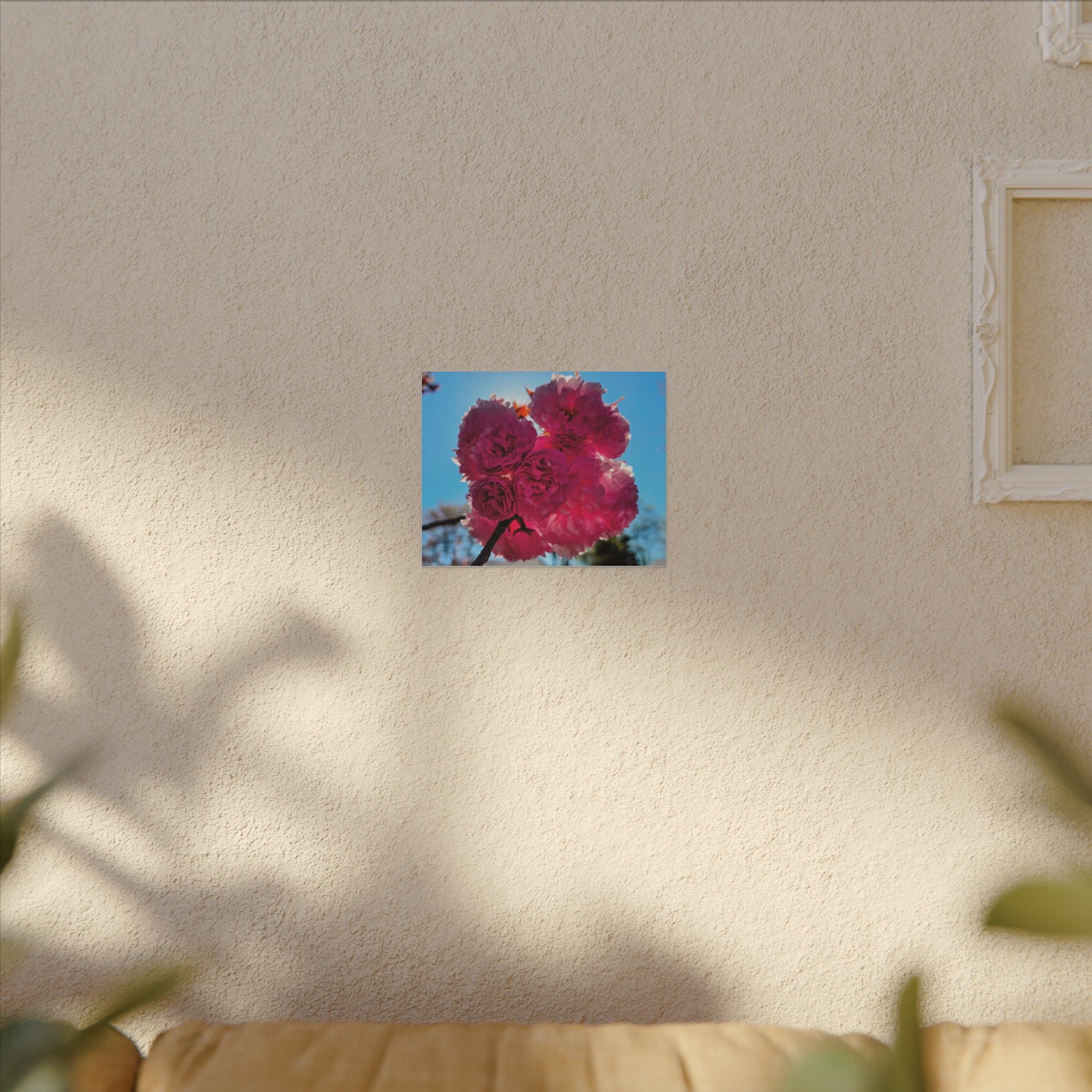 Cherry Boom