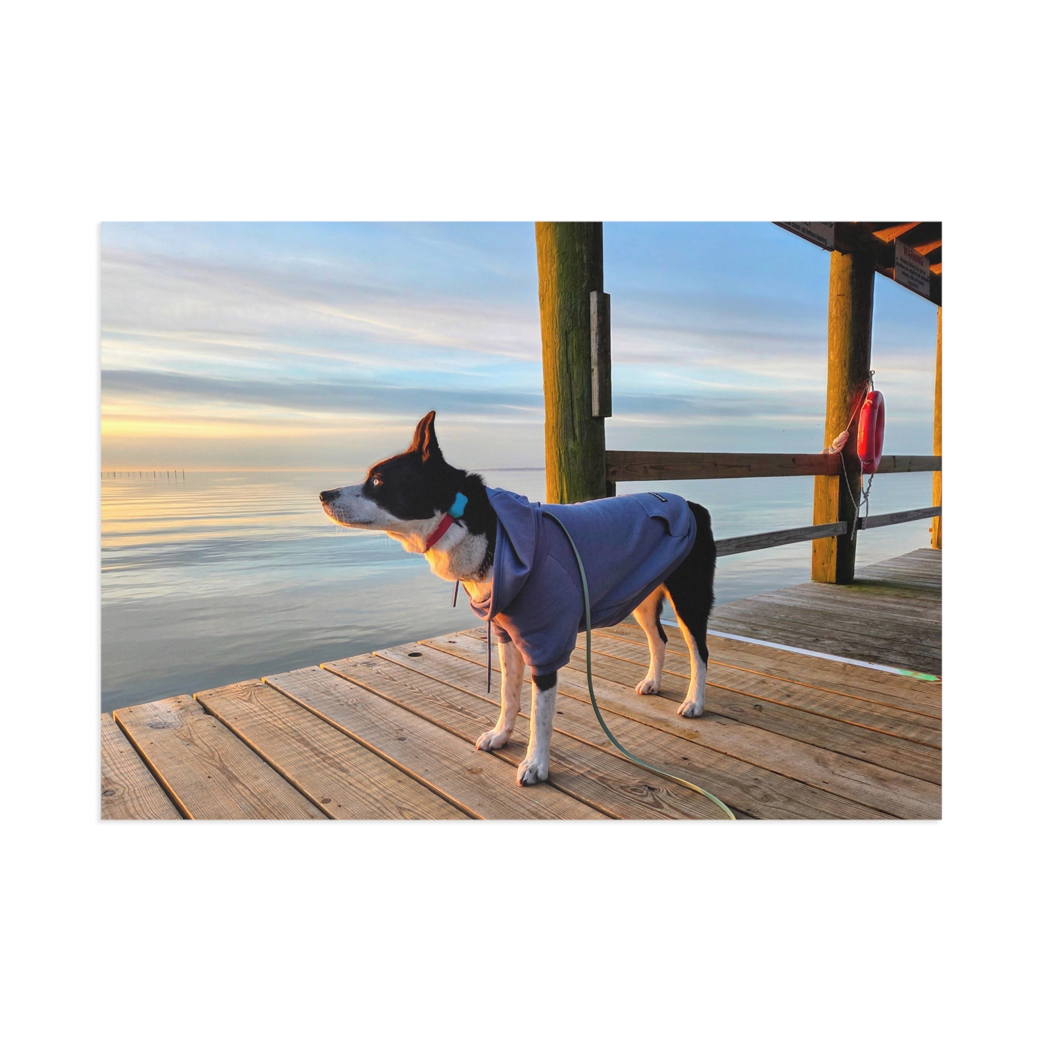 Max Sunrise Hoodie Postcard