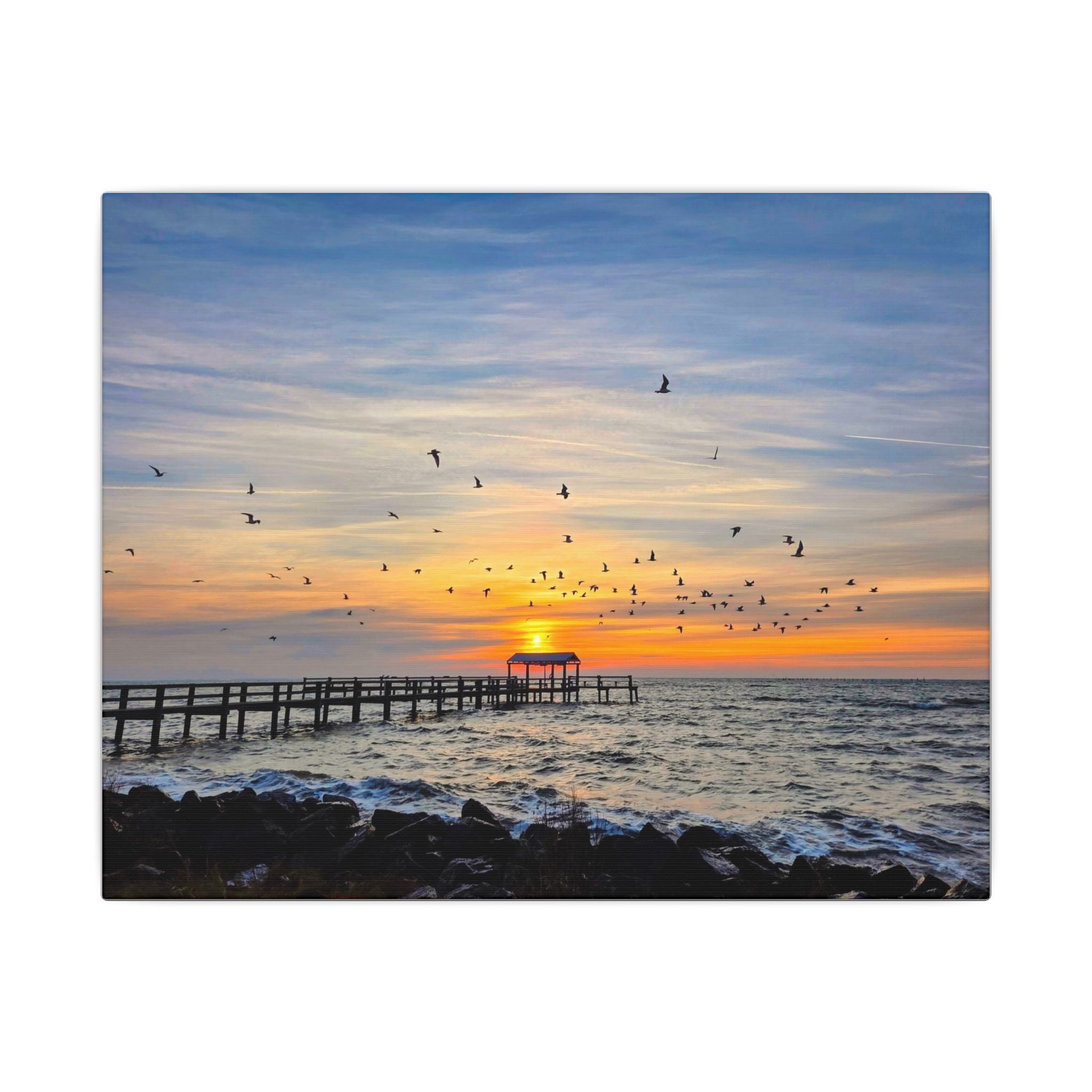 Fall Sunrise Migration