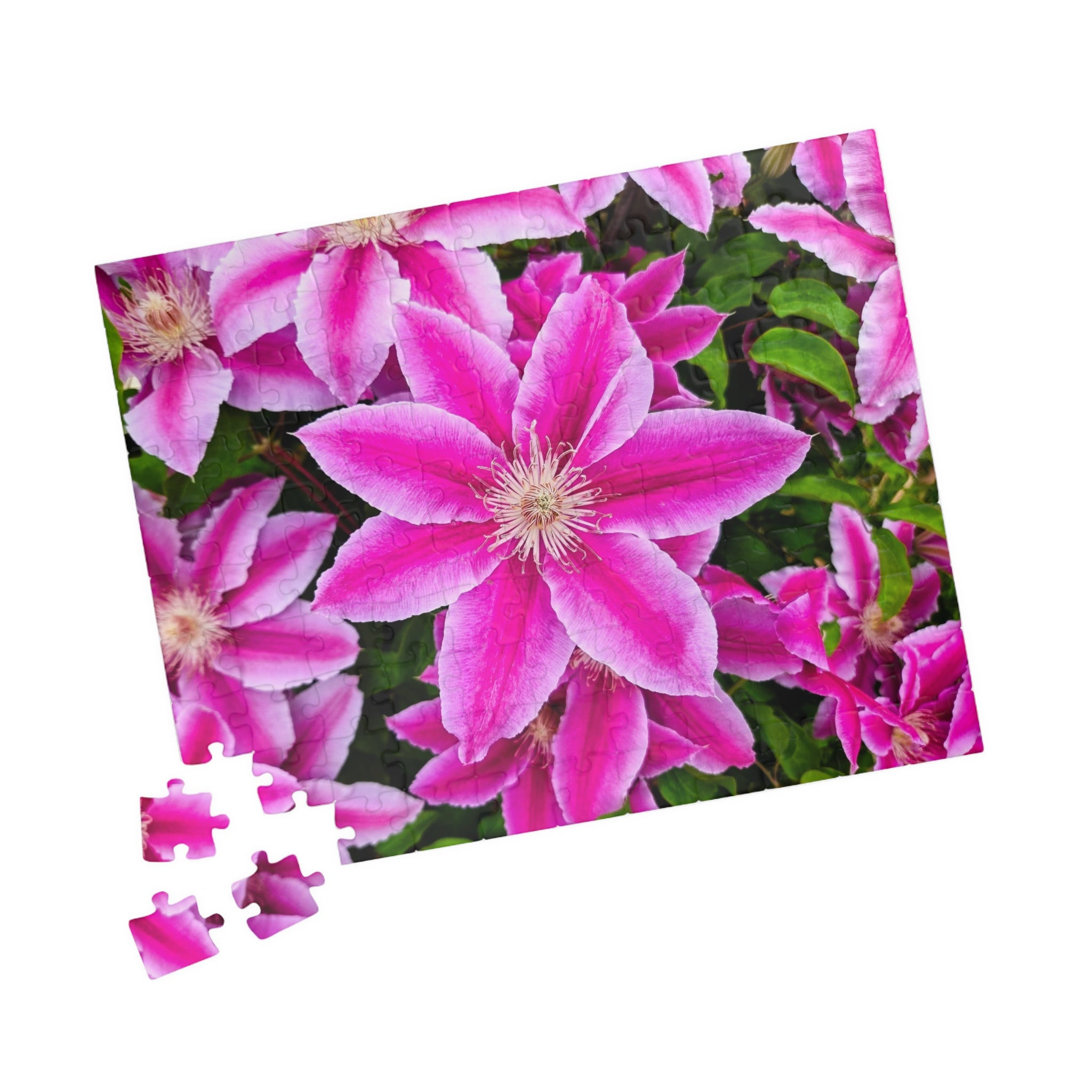 Clematis Puzzle