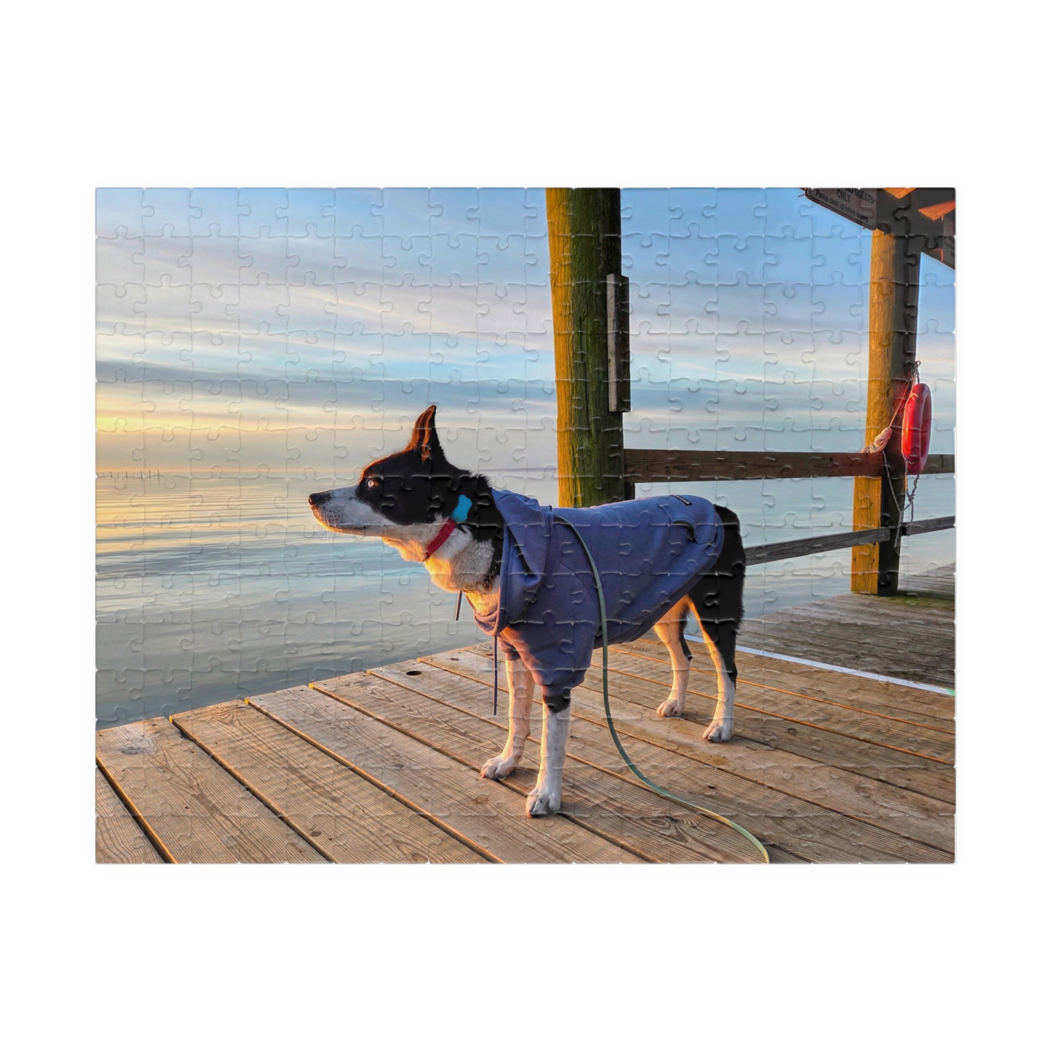 Hooded Max looks into the sunrise Puzzle