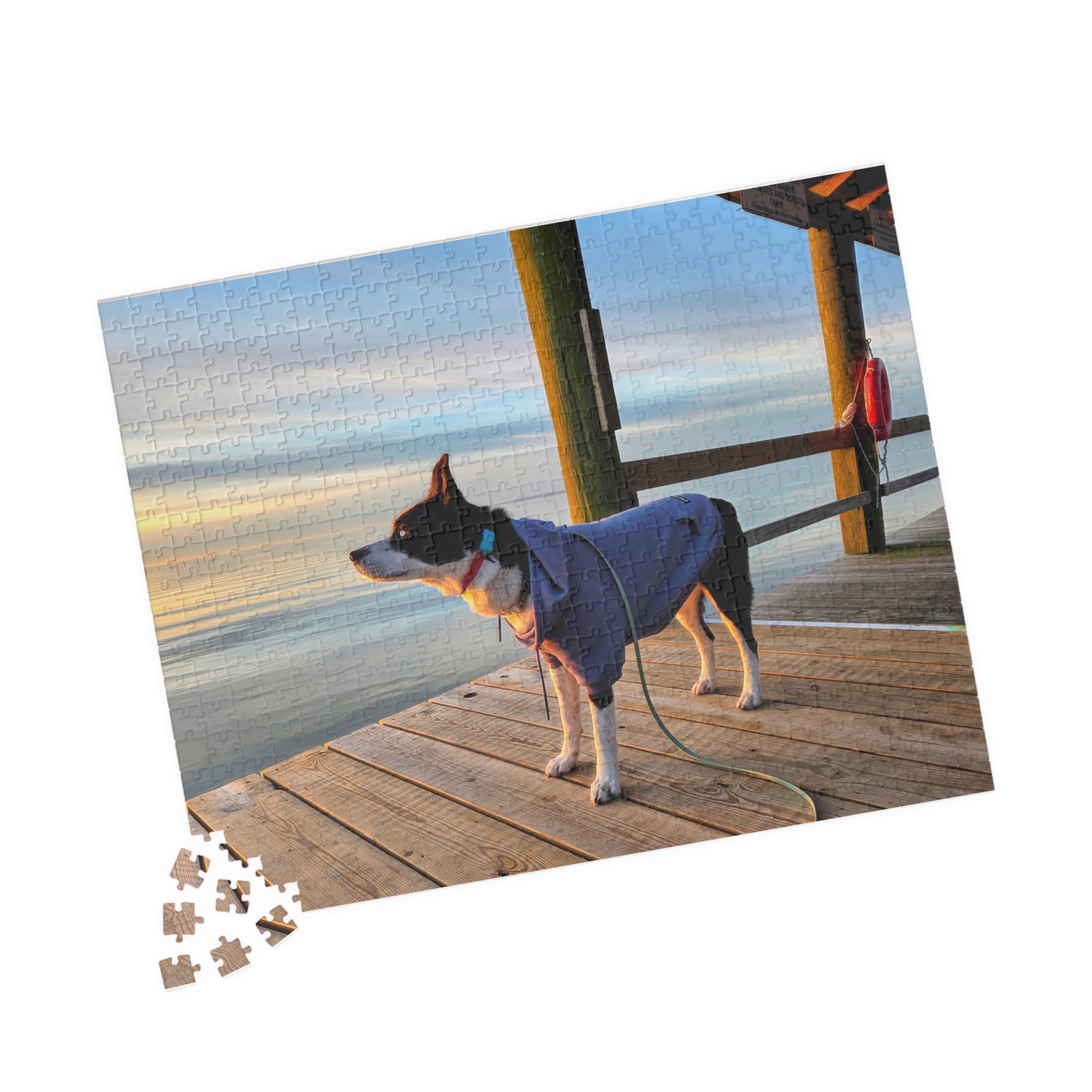 Hooded Max looks into the sunrise Puzzle