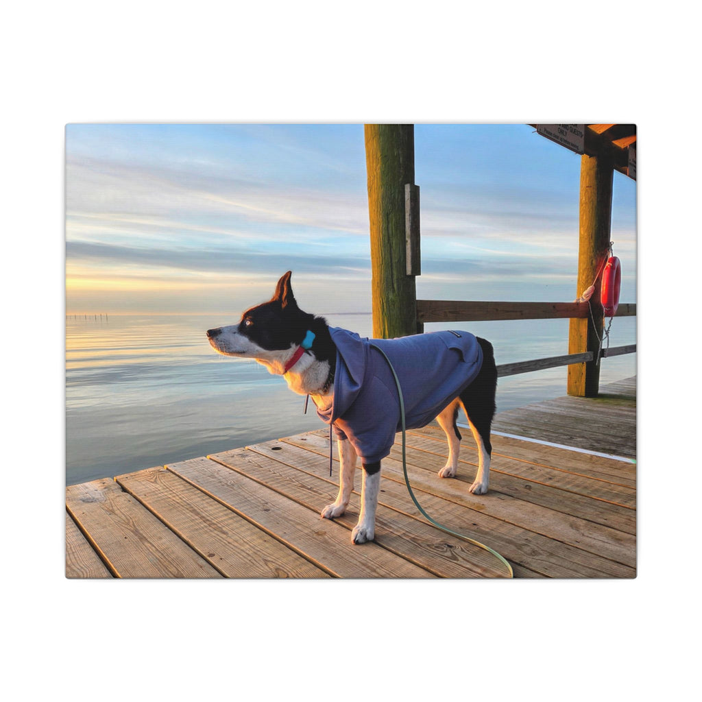 Max at sunrise in blue hoody