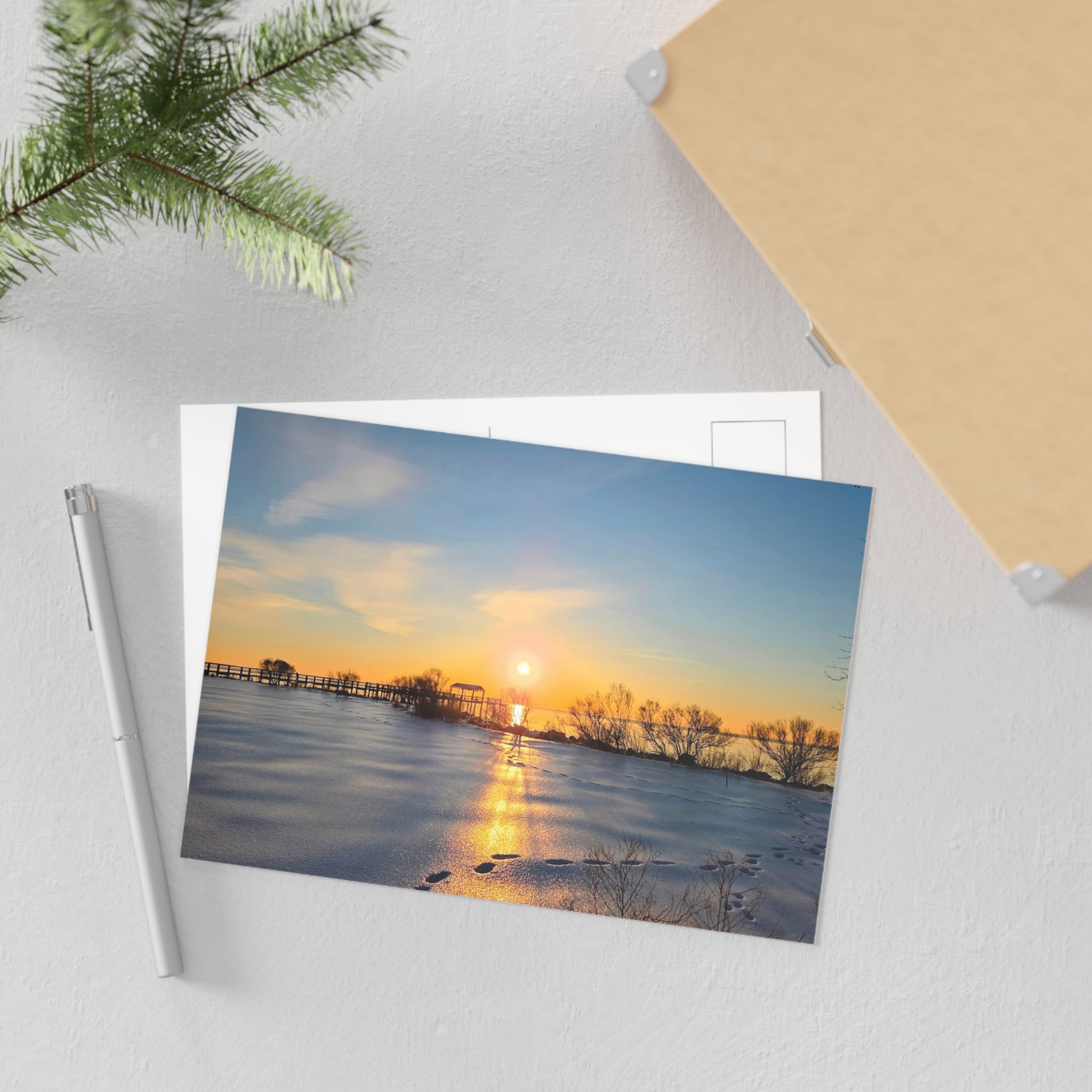 Frozen Sunrise Postcard