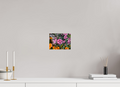 8 x 6″, Photo Print On Fuji Crystal DP II Raspberry Swirl Dianthus