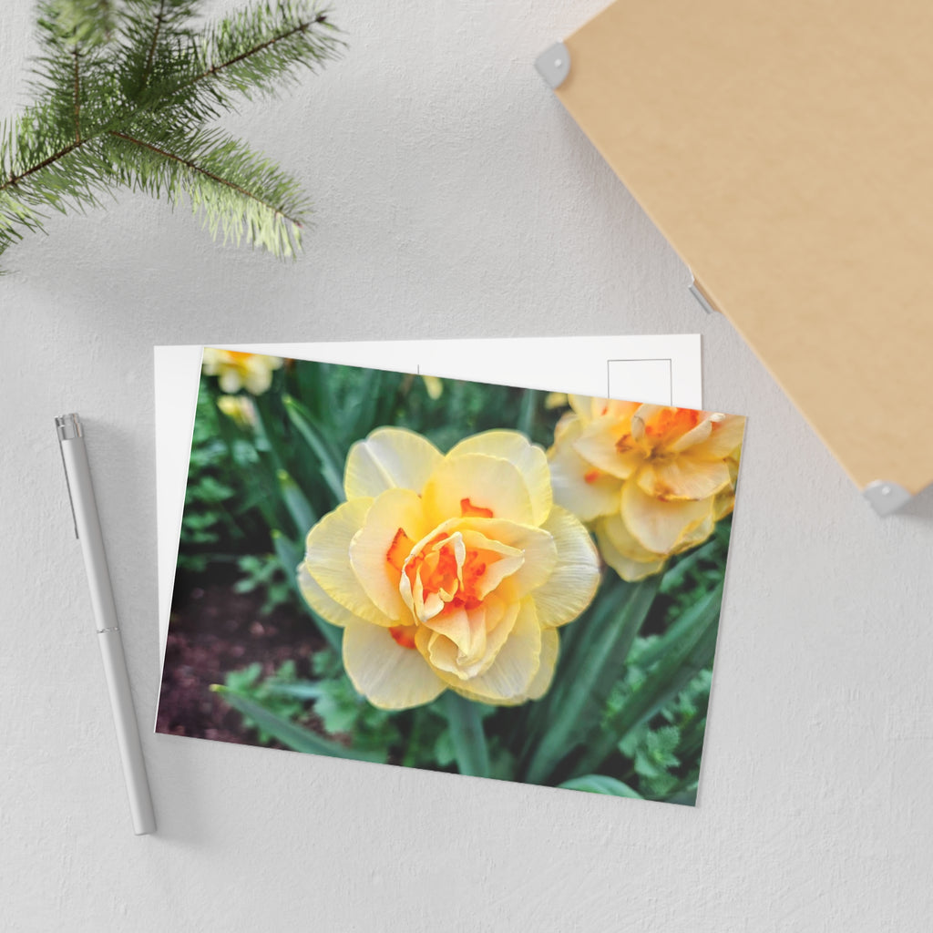 Spring flower 1