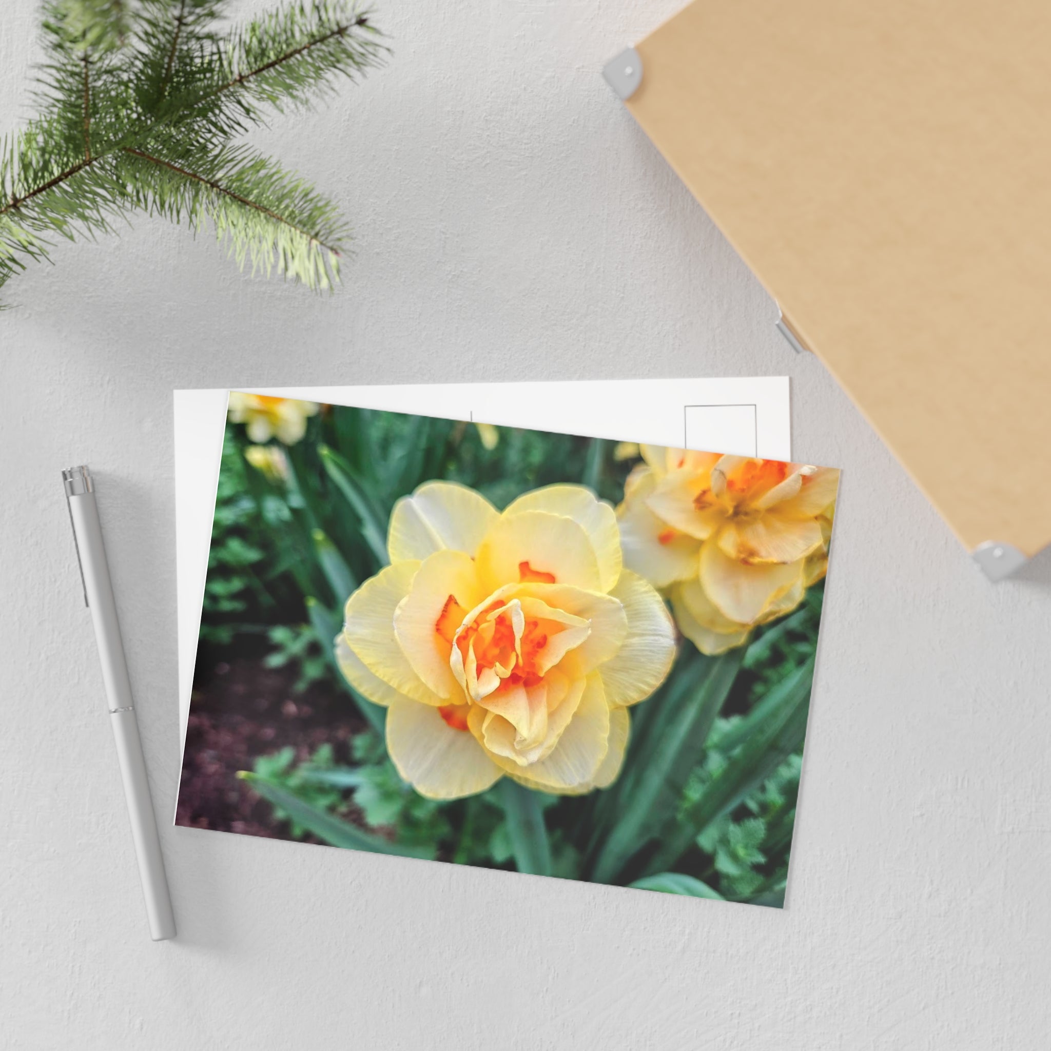 Spring flower 1
