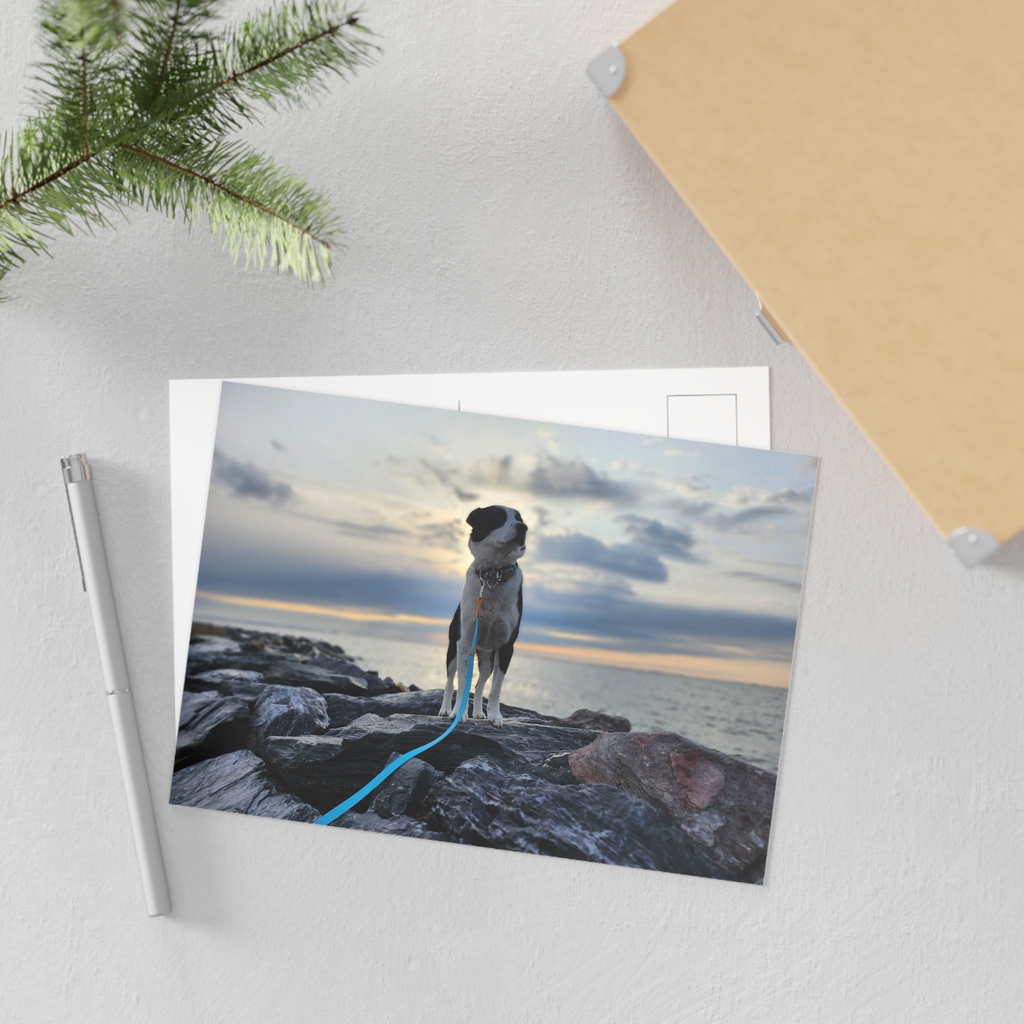 Epic Max Postcard