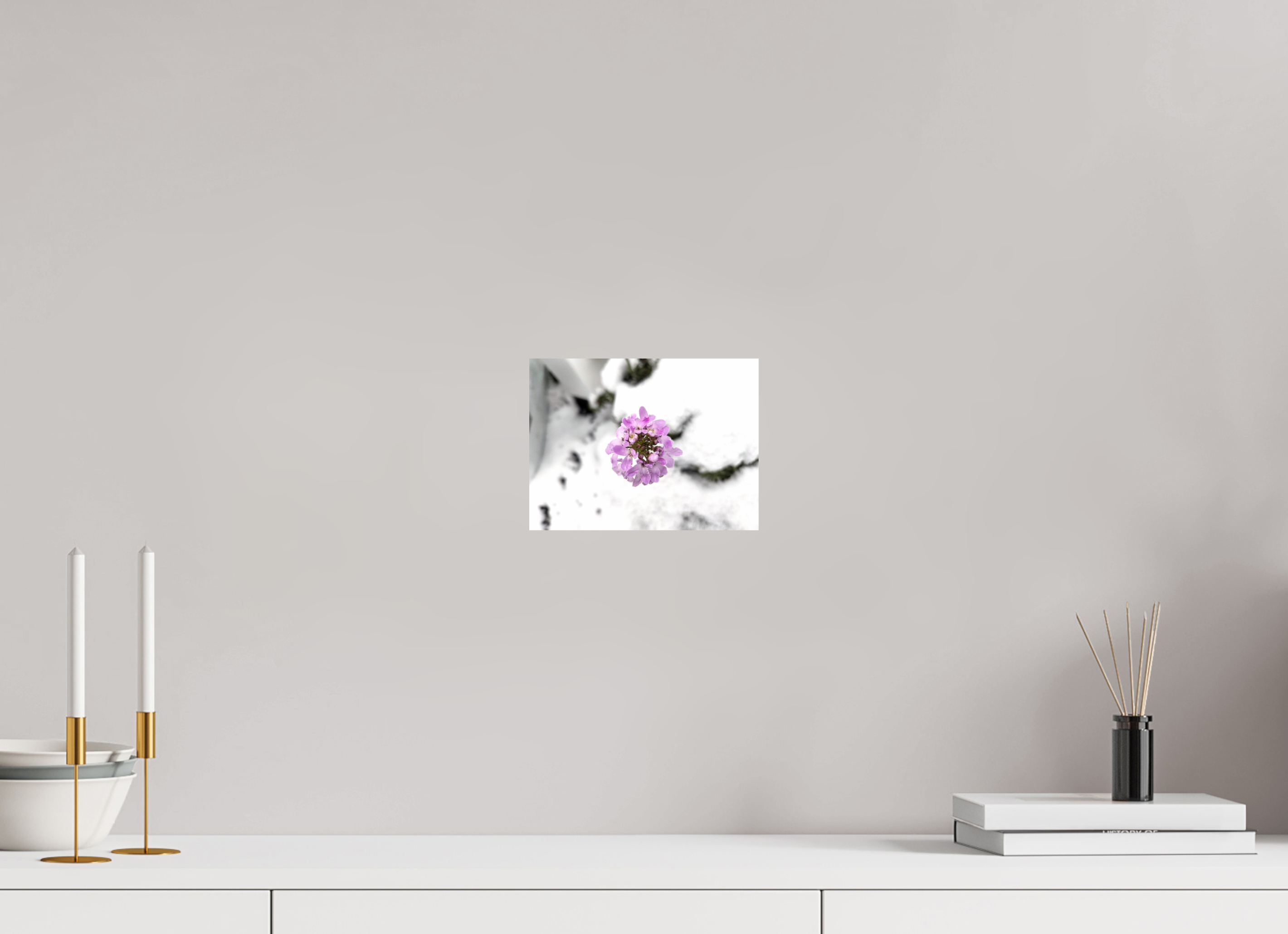 8 x 6″, Photo Print On Fuji Crystal DP II Snow flower