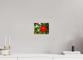 8 x 6″, Photo Print On Fuji Crystal DP II Cosmos 2026