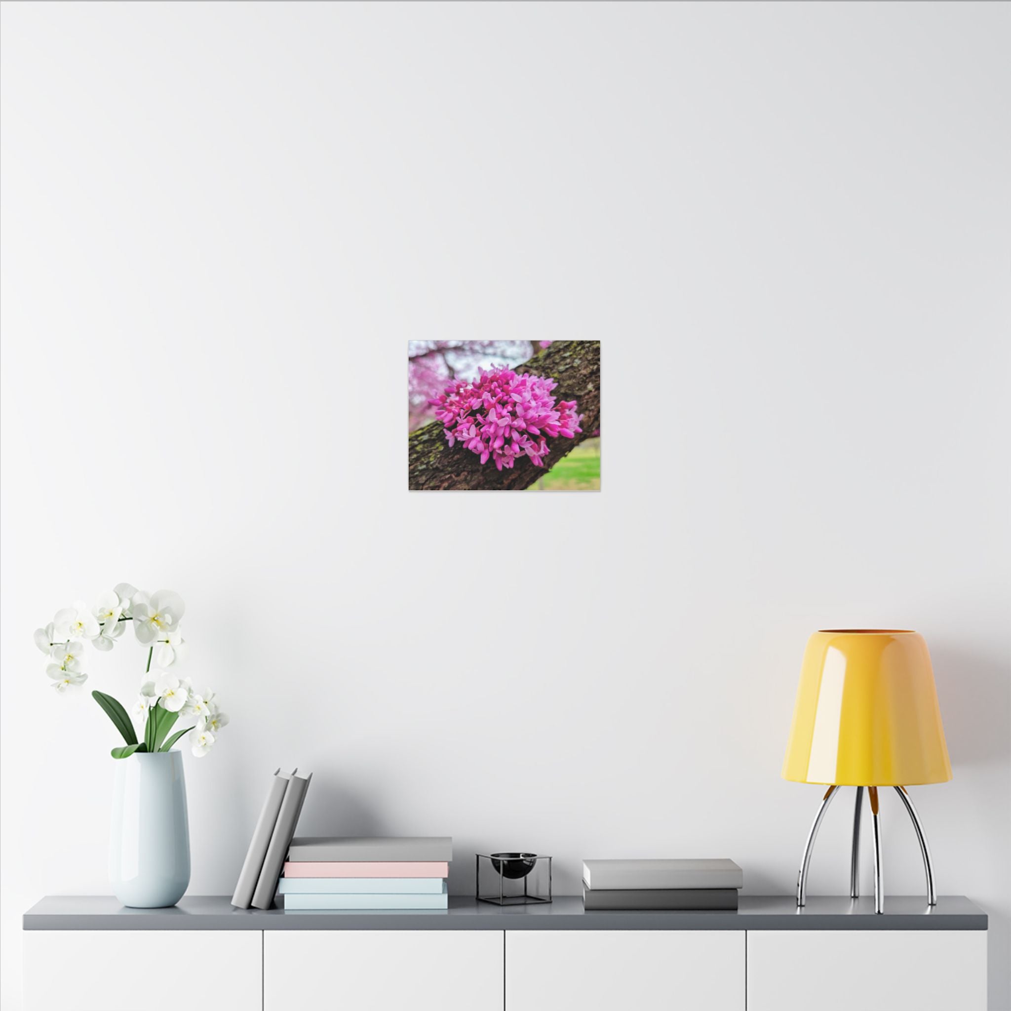 Capital Redbud