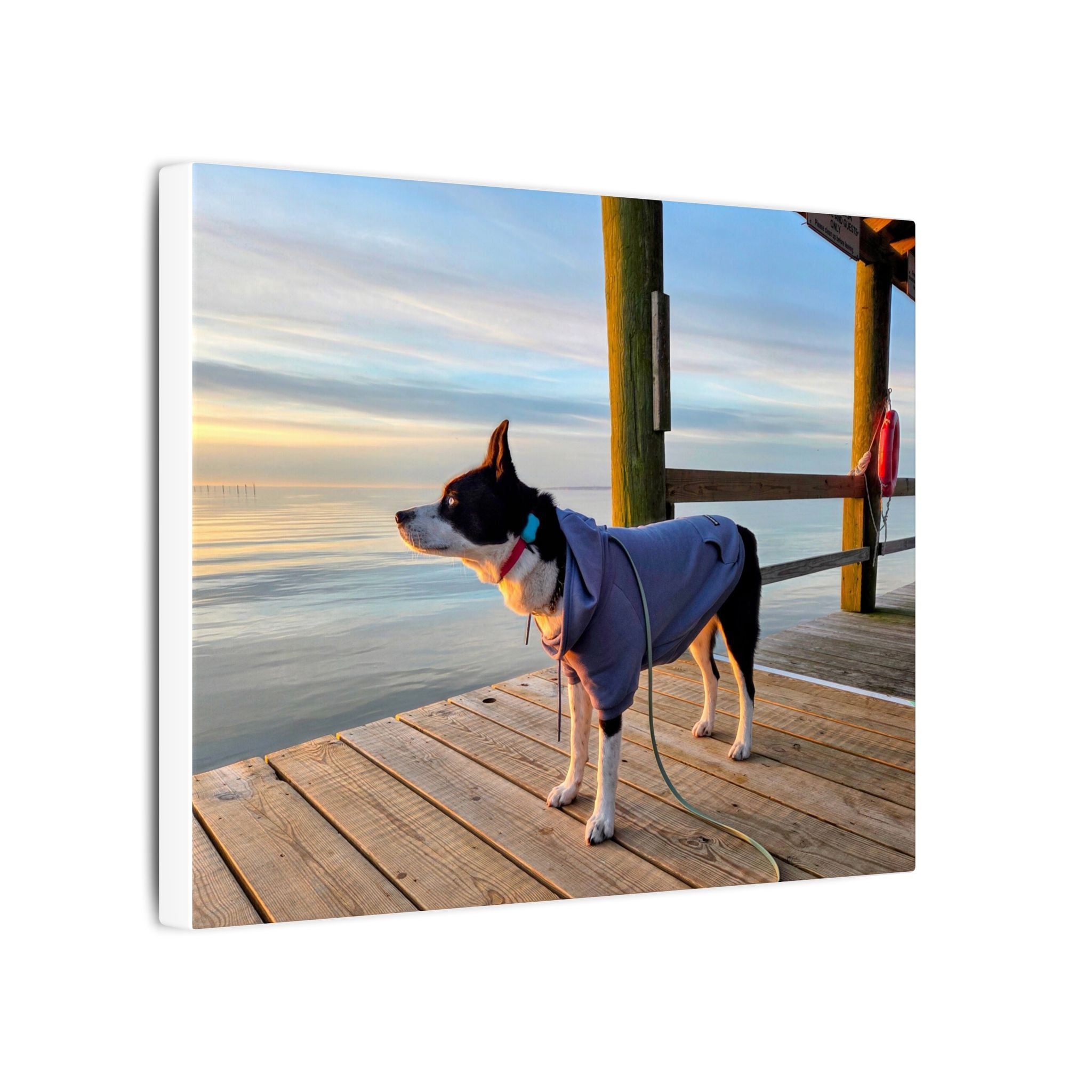 Max at sunrise in blue hoody